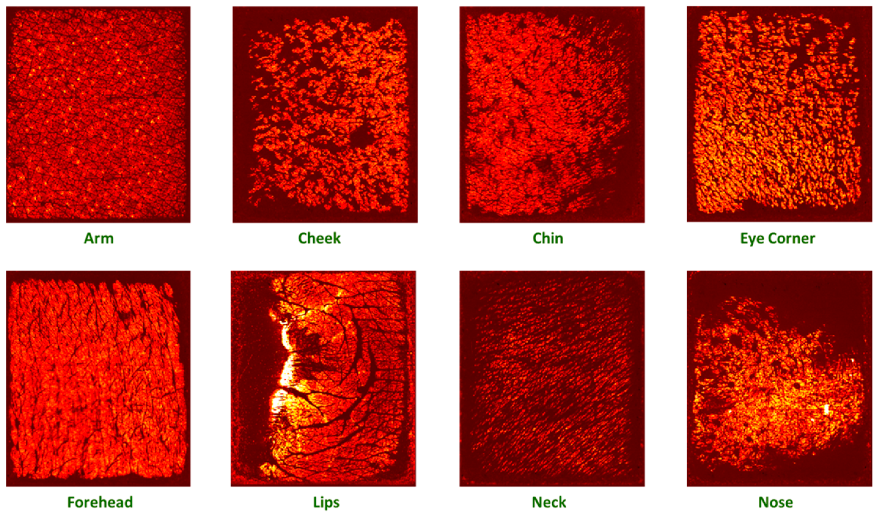 Applsci 11 08714 g002