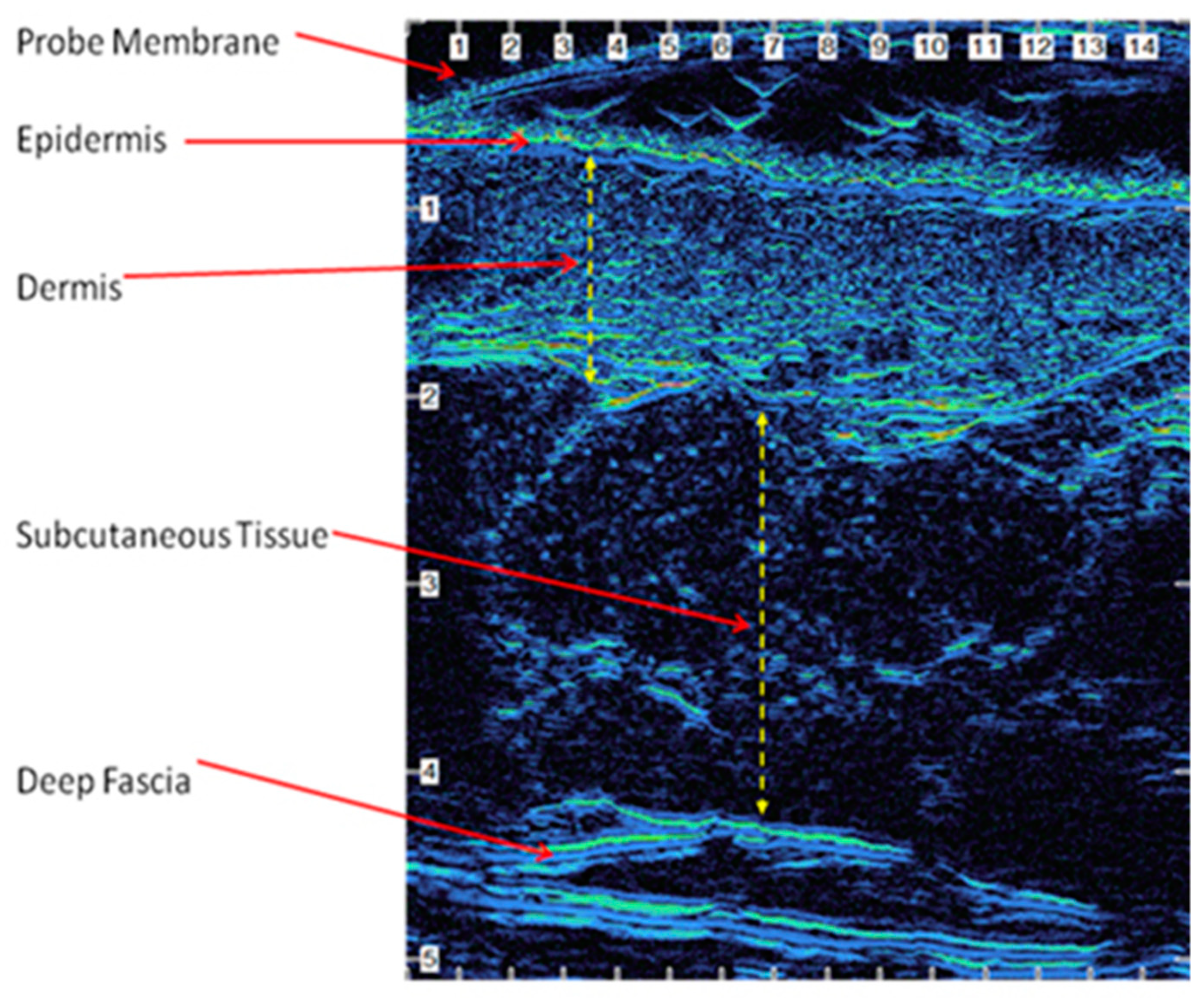 Applsci 11 08714 g004