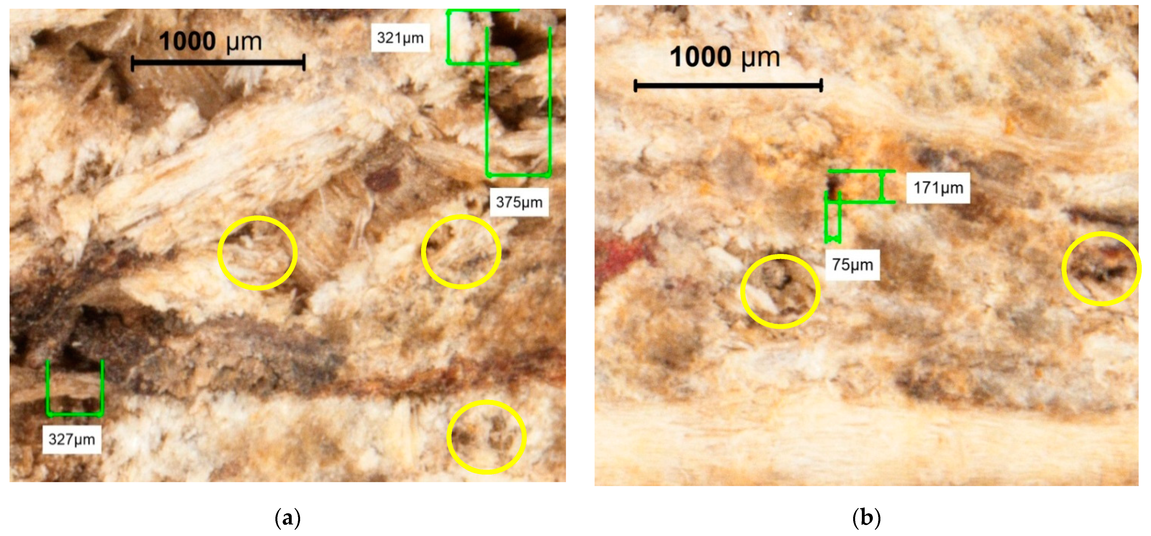 Applsci 11 08720 g004a