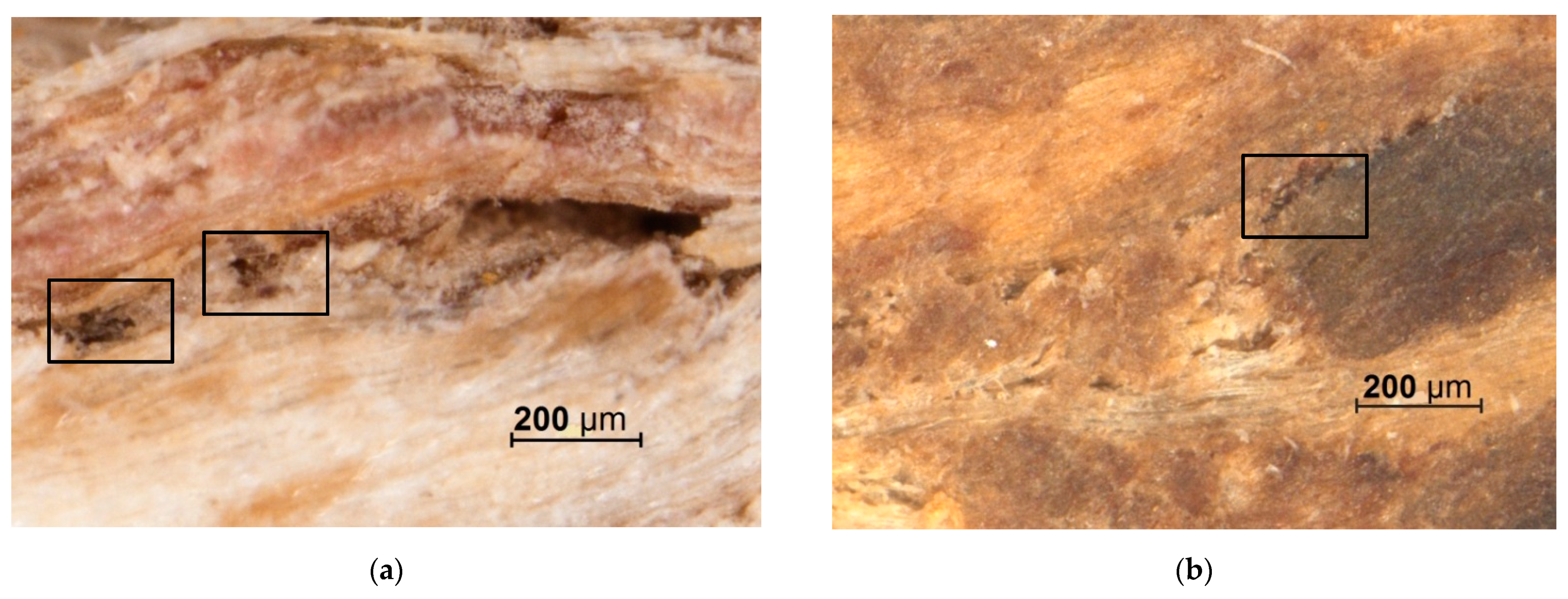 Applsci 11 08720 g005a