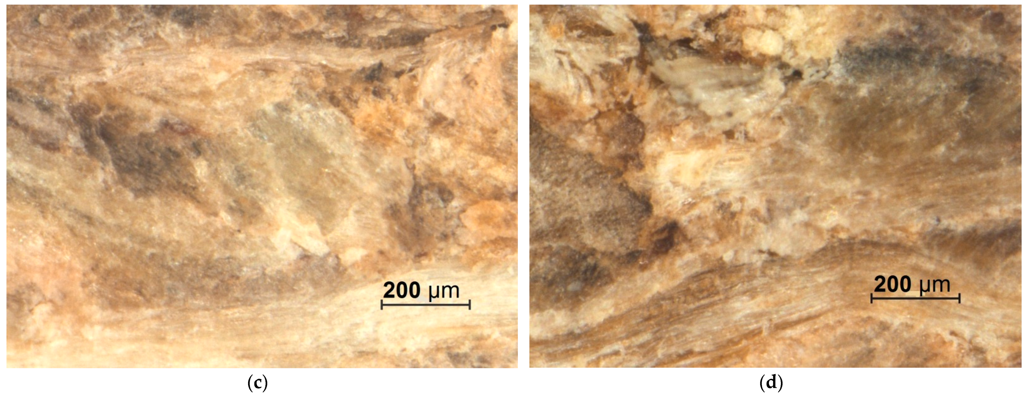 Applsci 11 08720 g005b