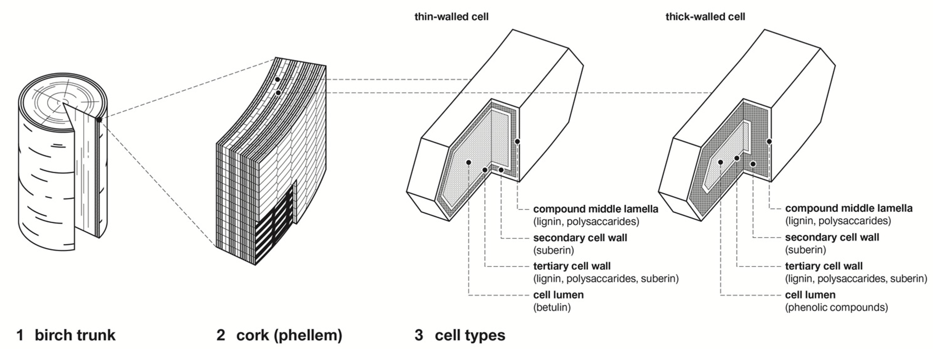 Applsci 11 08721 g001