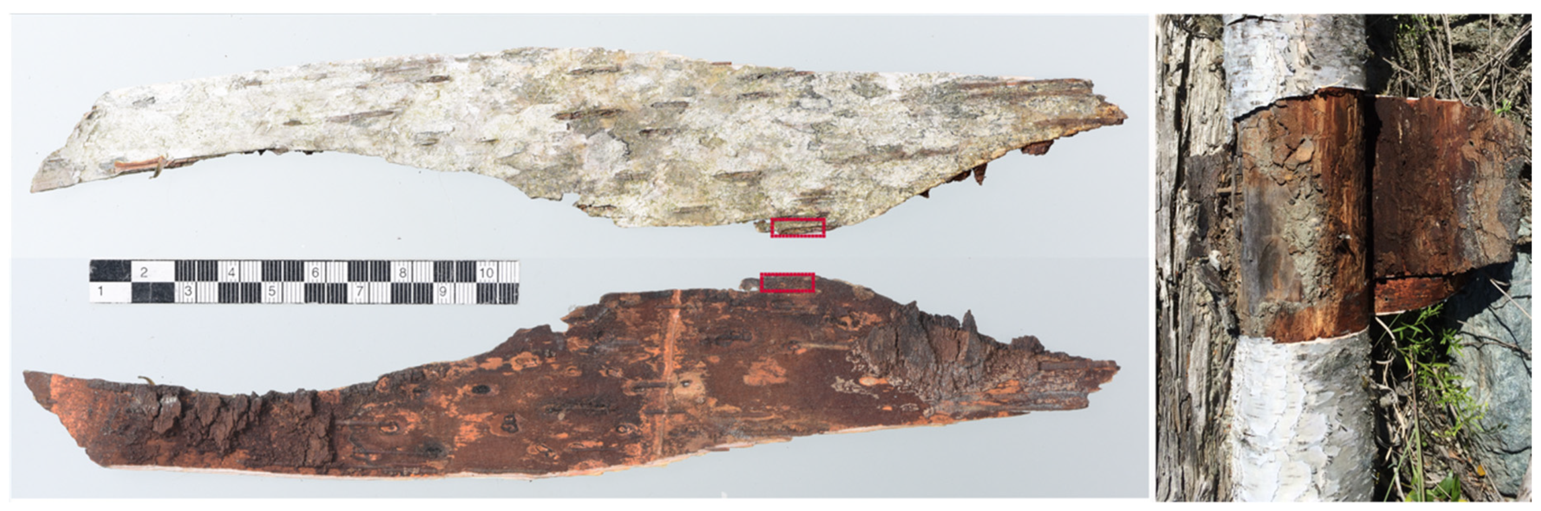 Applsci 11 08721 g003