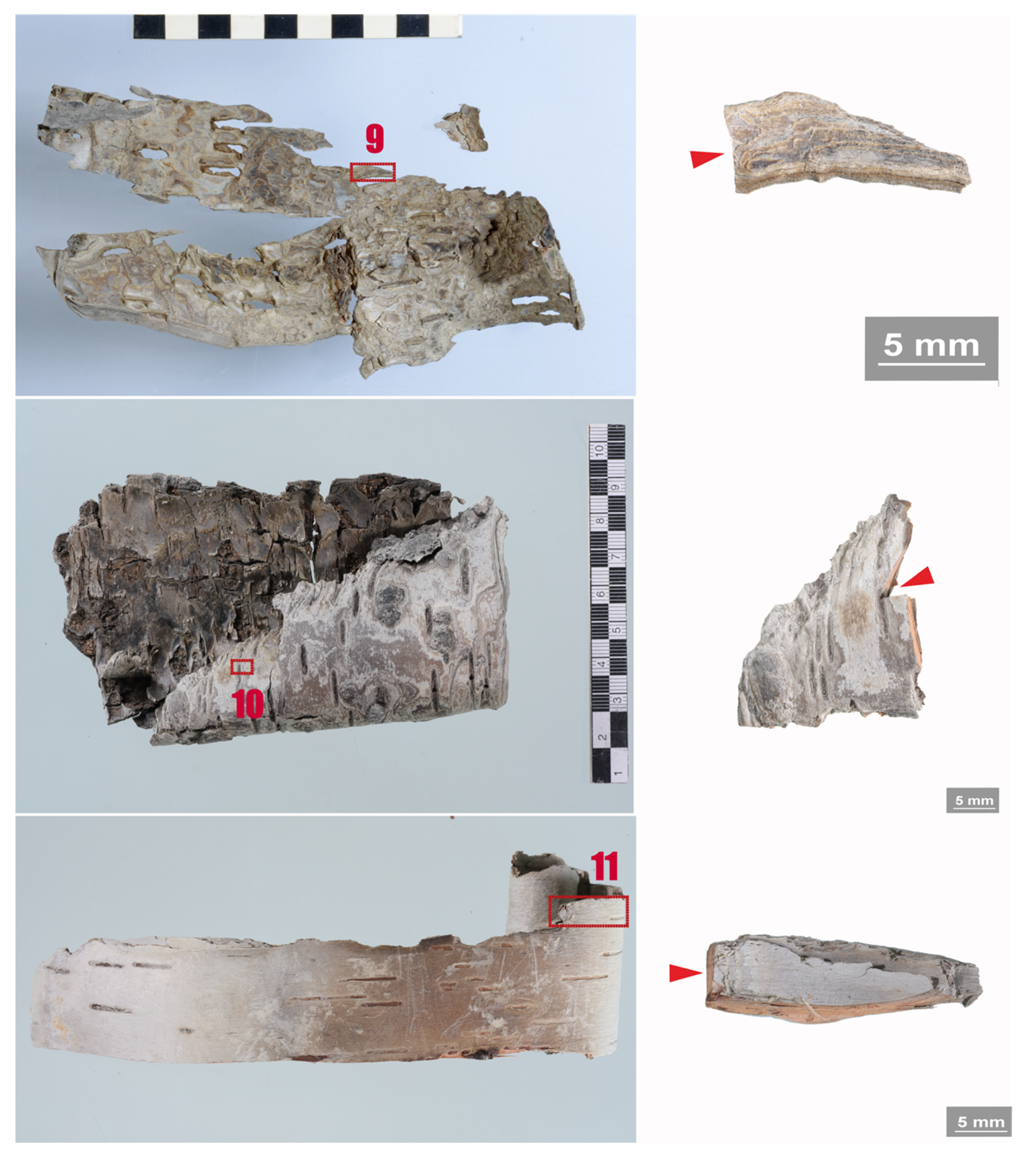 Applsci 11 08721 g005