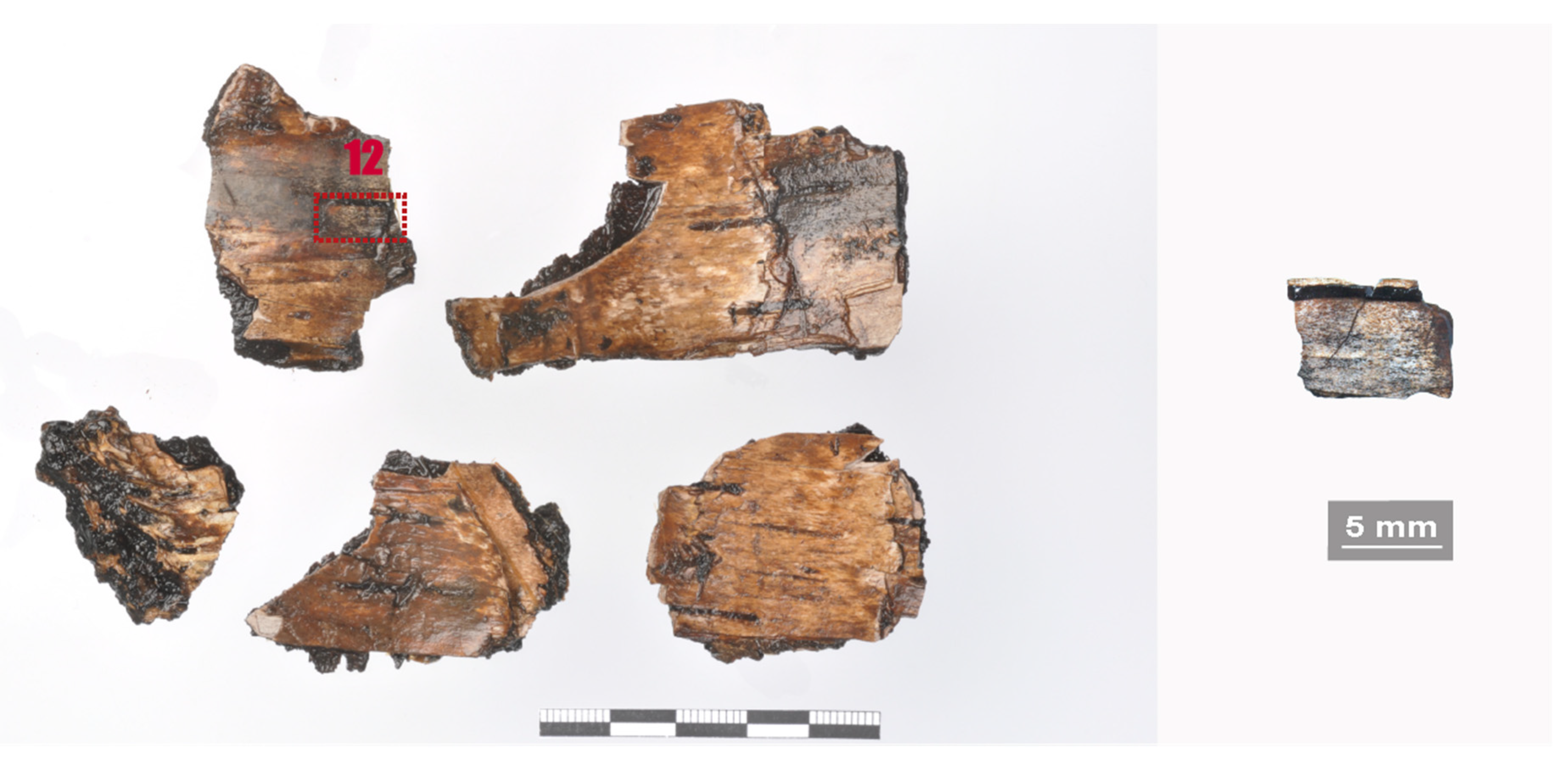 Applsci 11 08721 g006