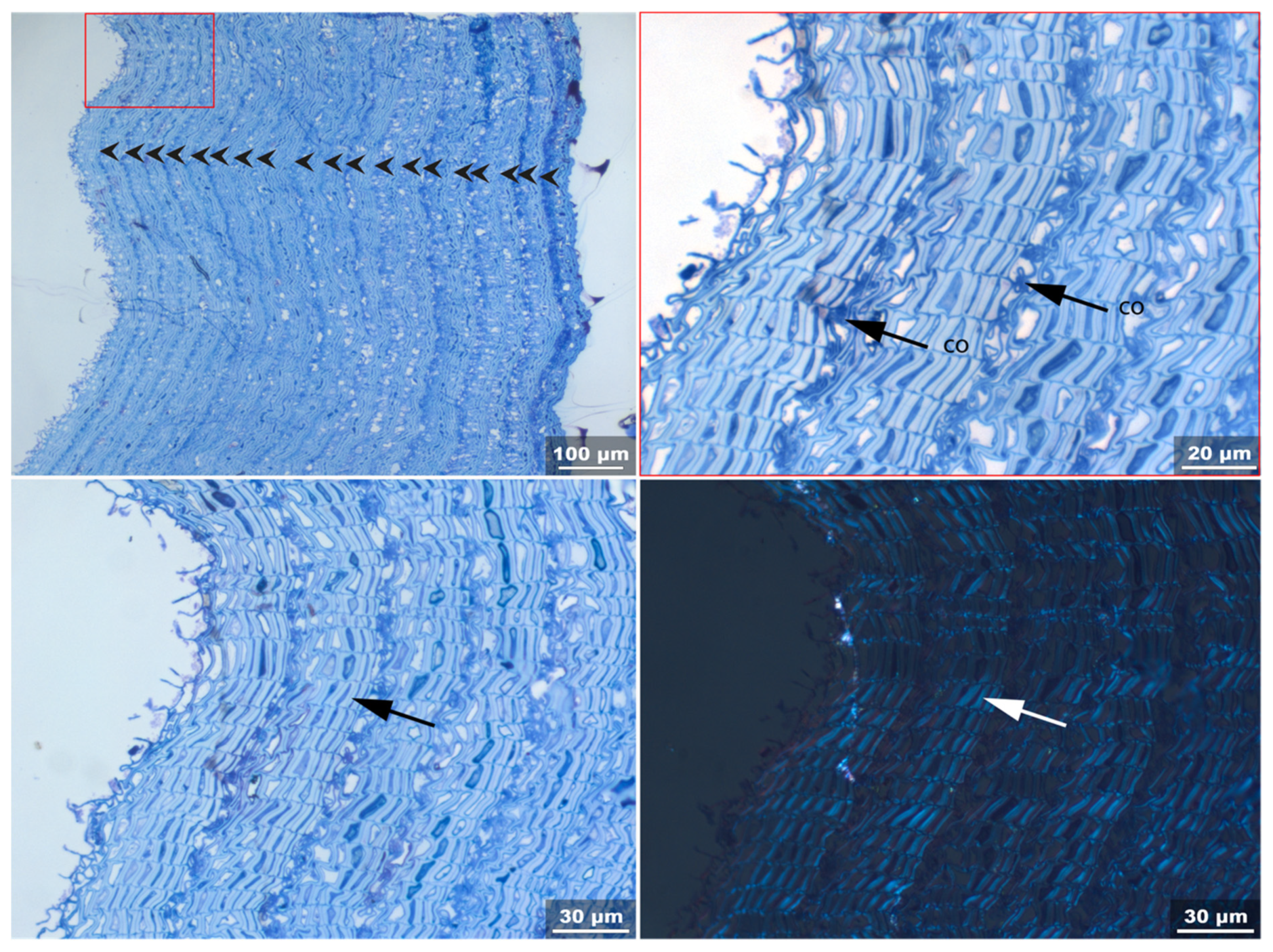 Applsci 11 08721 g008