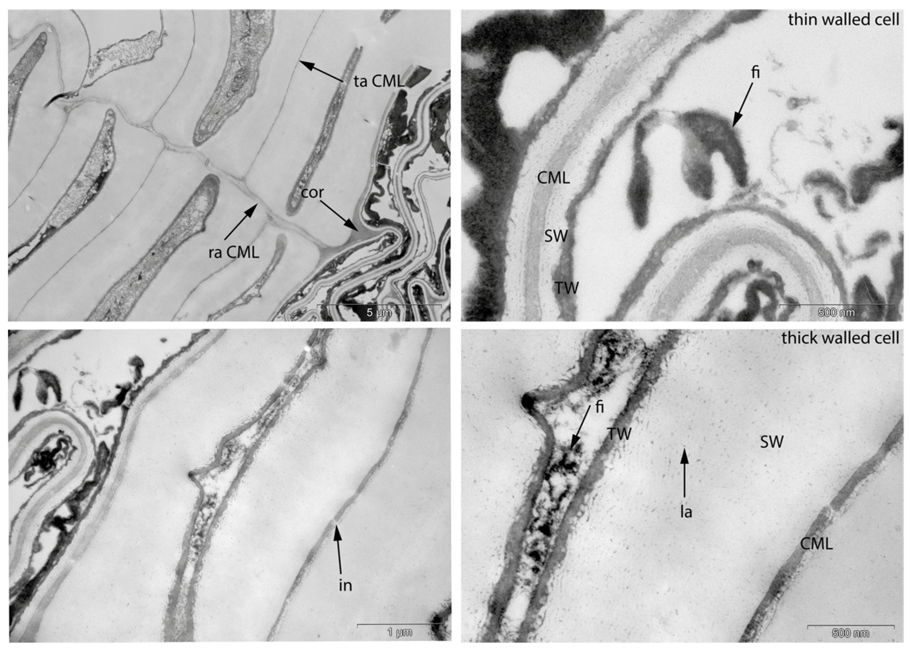 Applsci 11 08721 g009