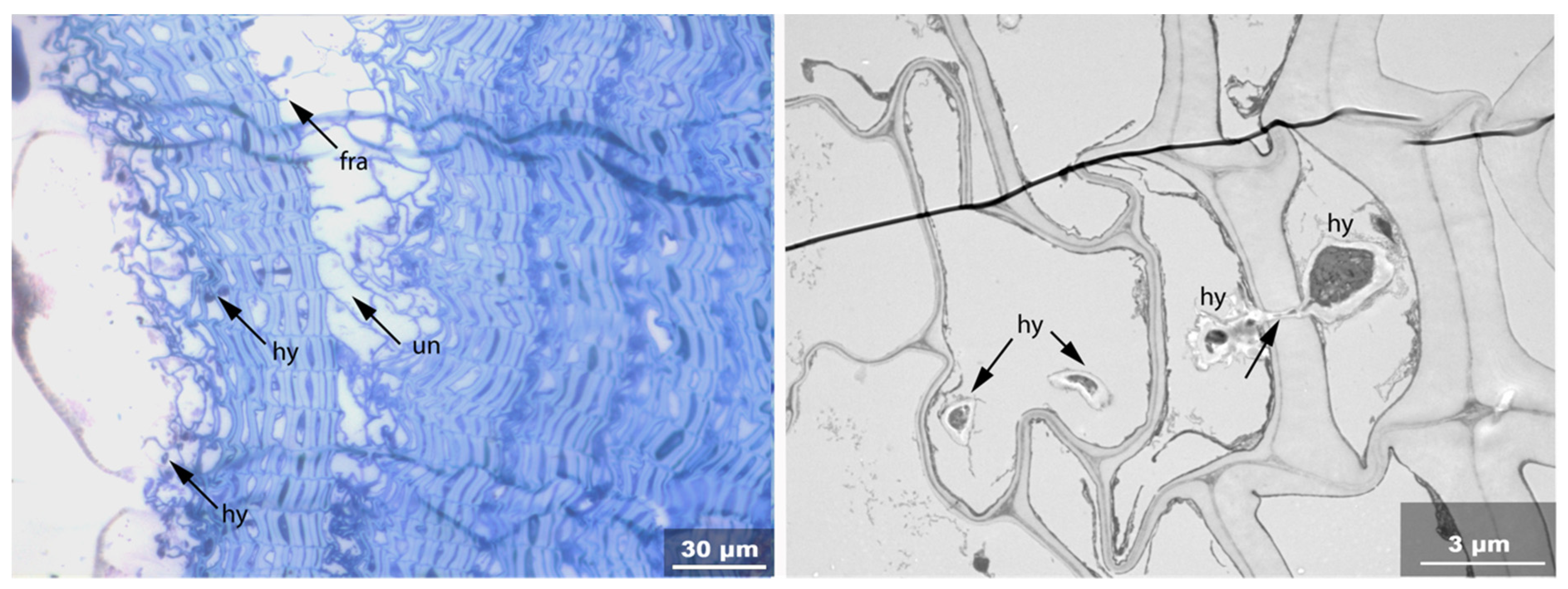 Applsci 11 08721 g010