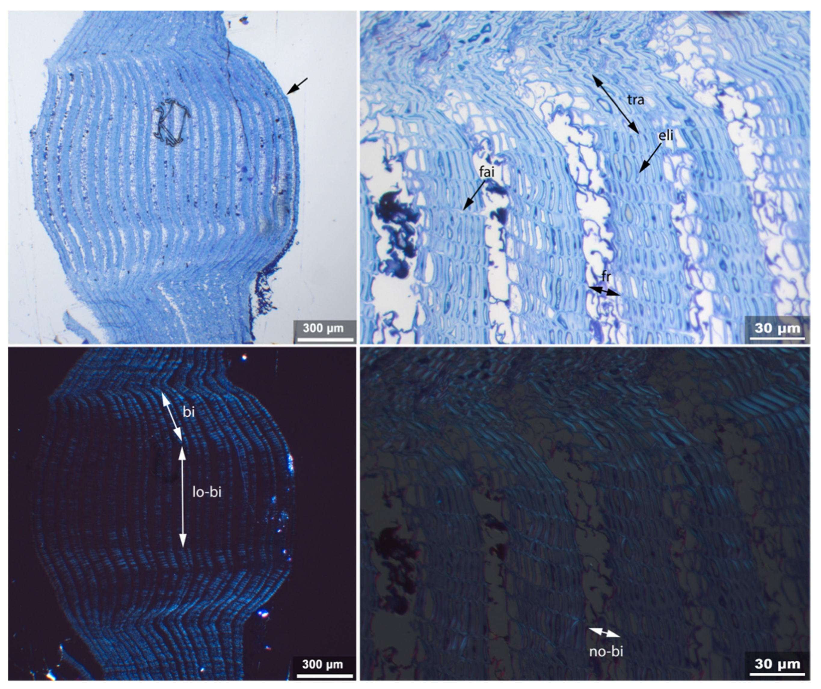 Applsci 11 08721 g011