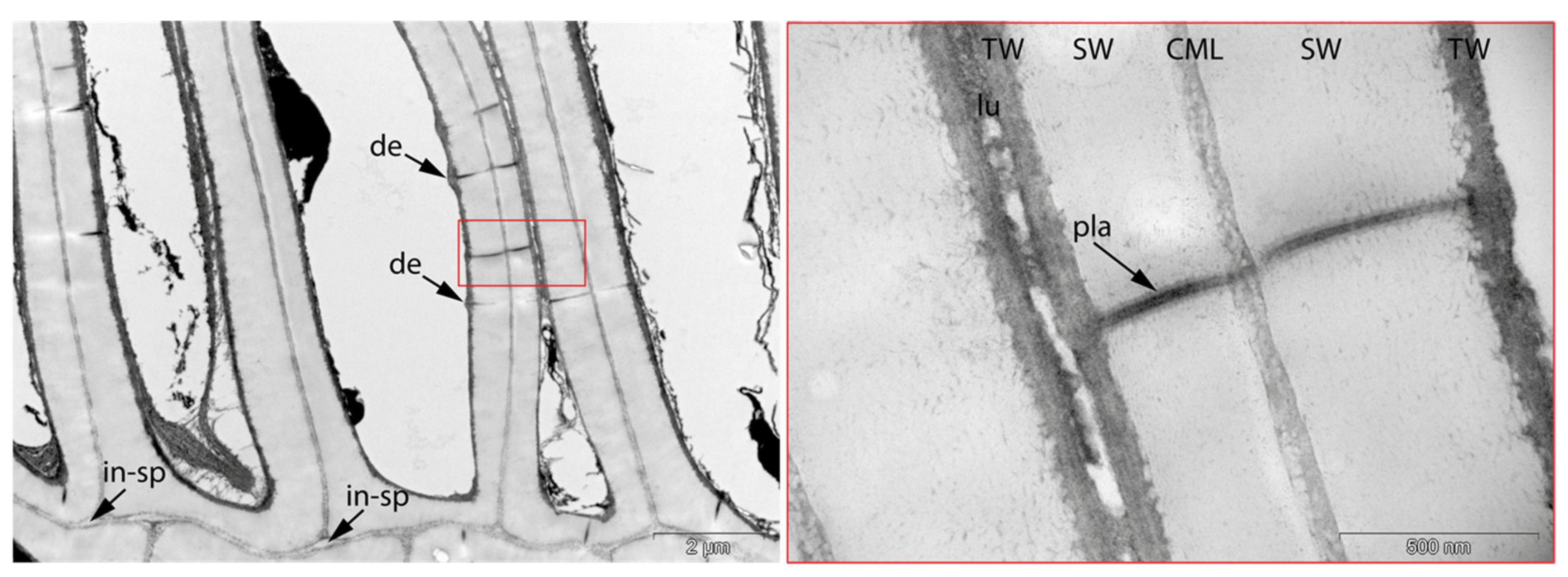 Applsci 11 08721 g012