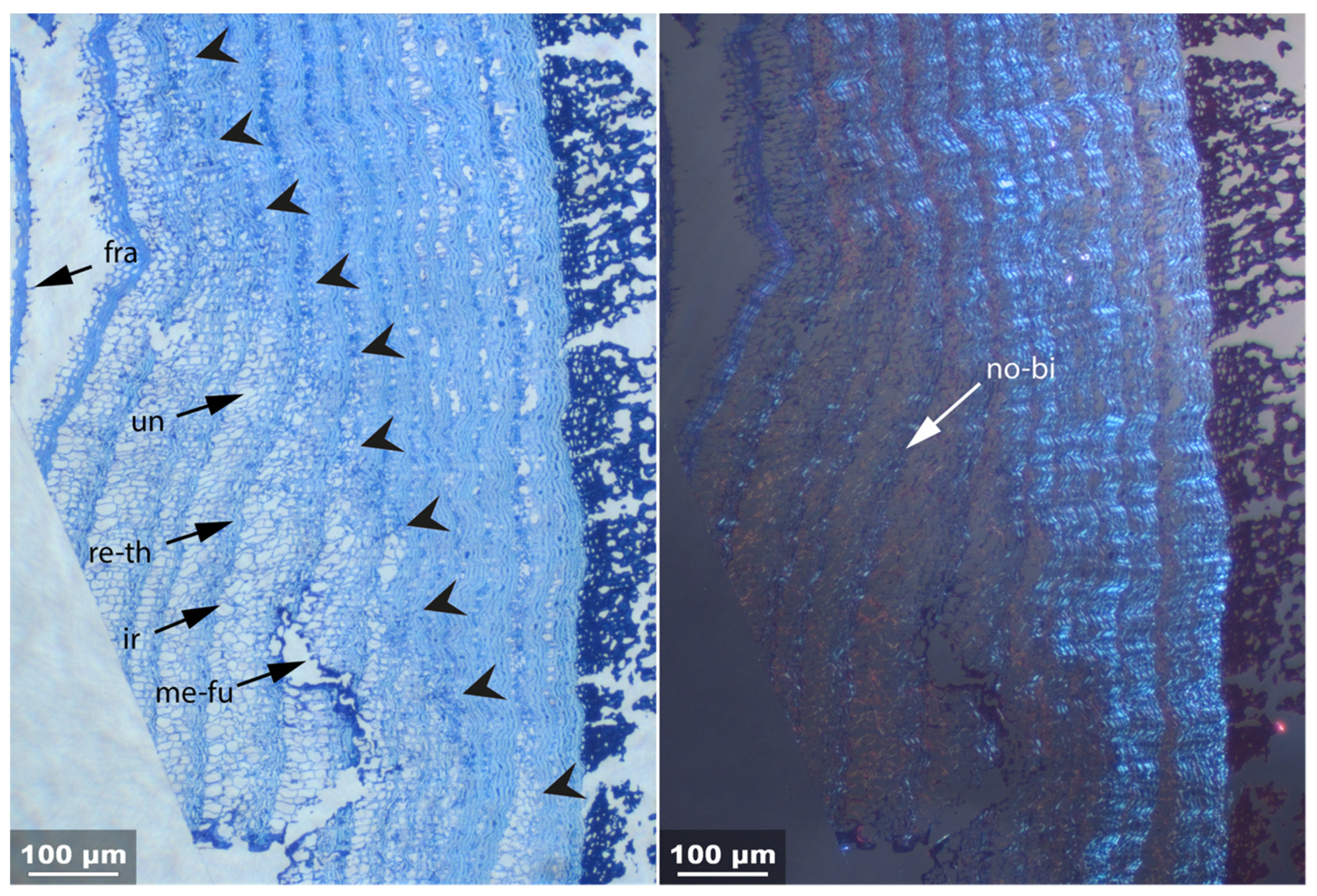 Applsci 11 08721 g013