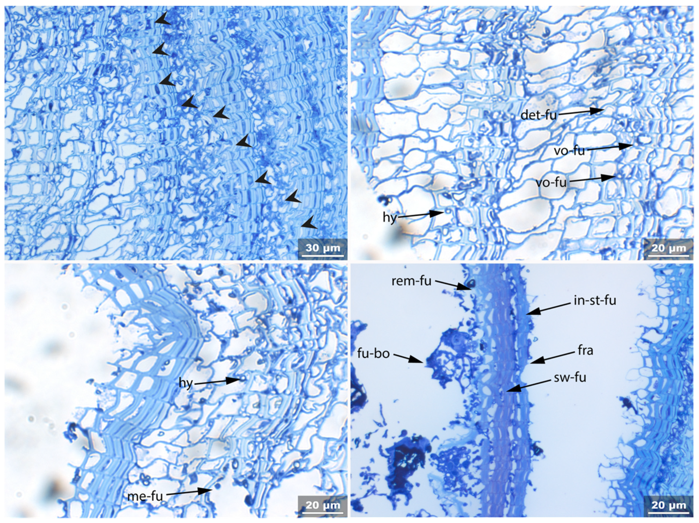Applsci 11 08721 g014
