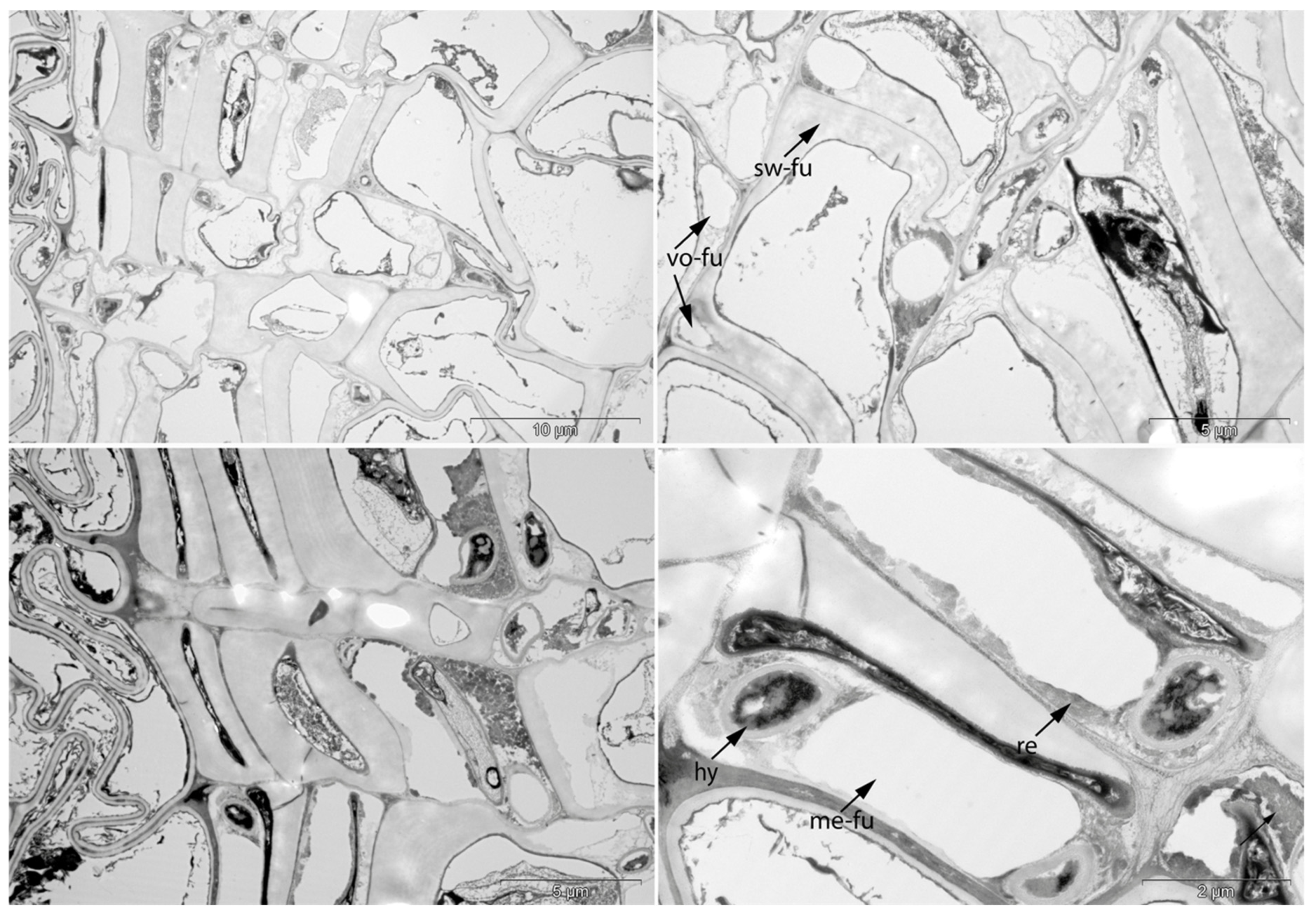 Applsci 11 08721 g015