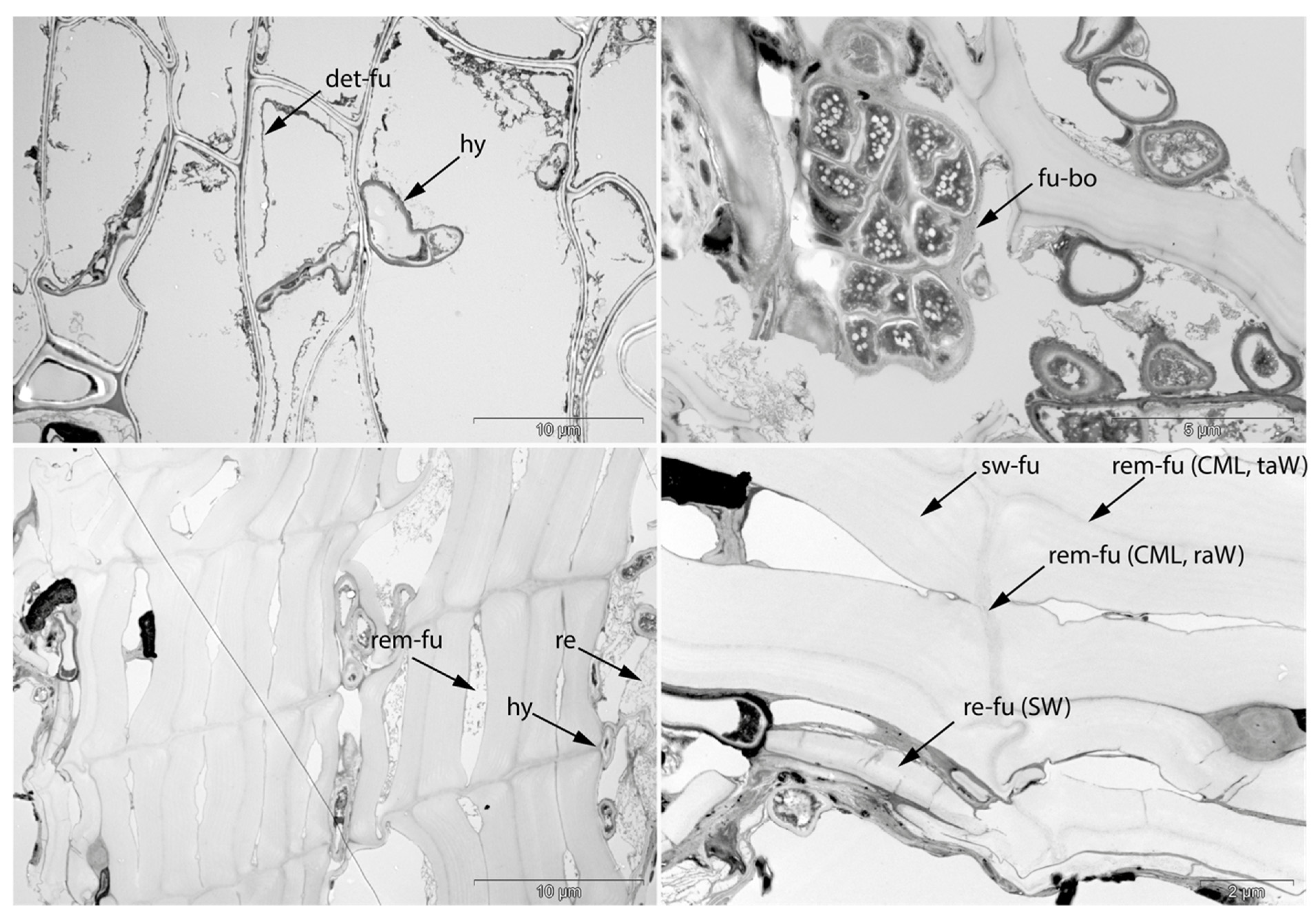 Applsci 11 08721 g016