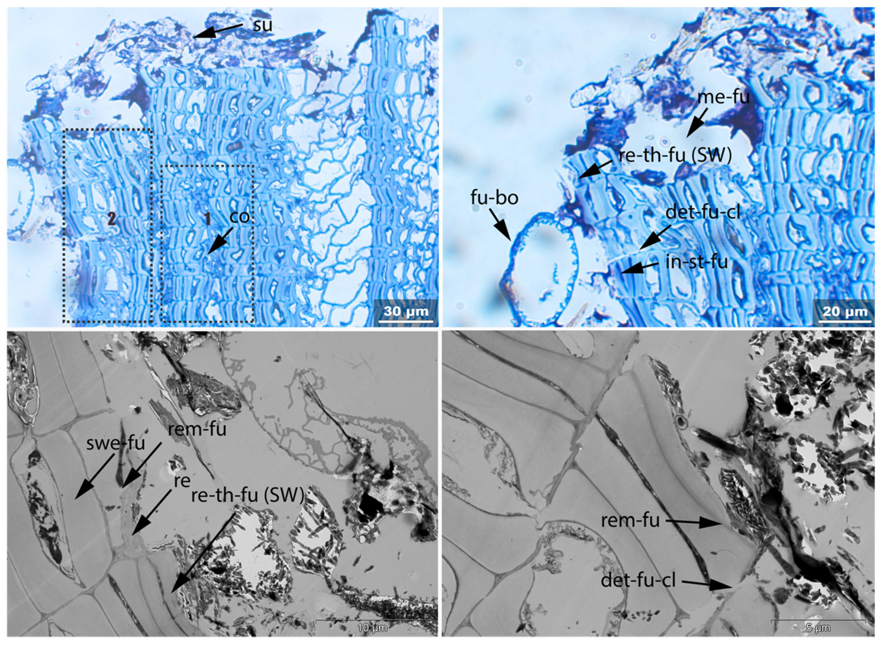 Applsci 11 08721 g017