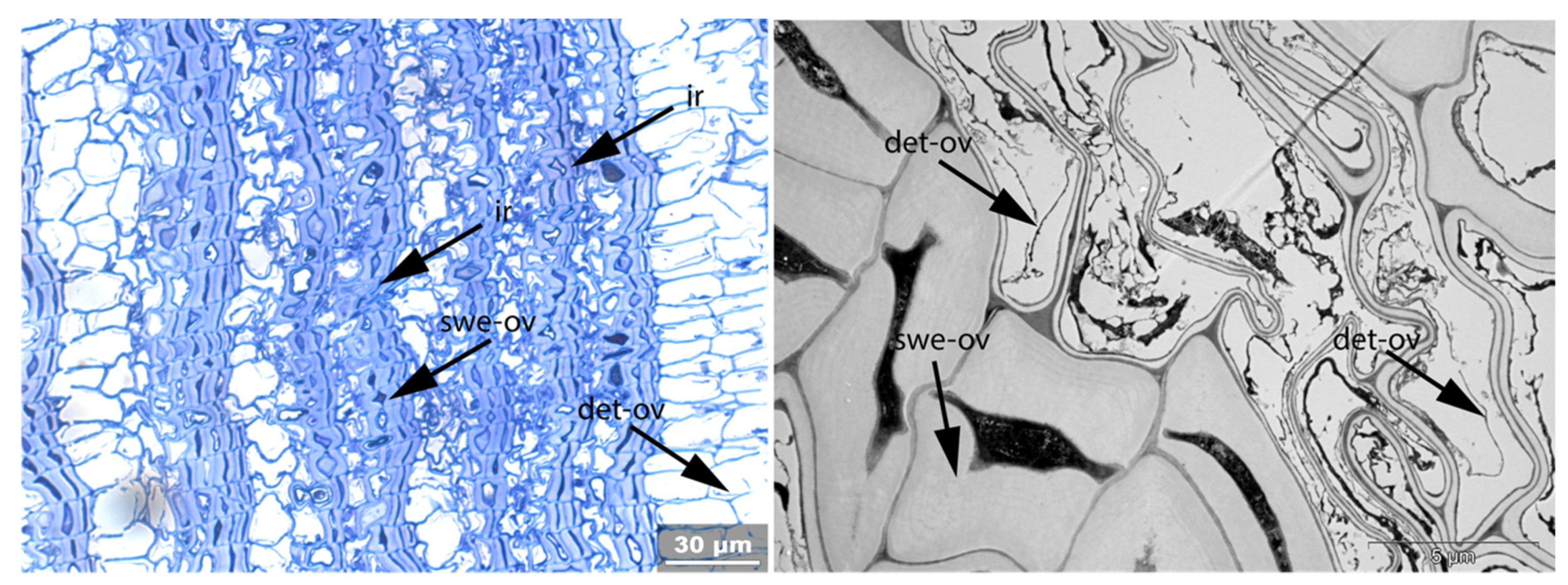 Applsci 11 08721 g019