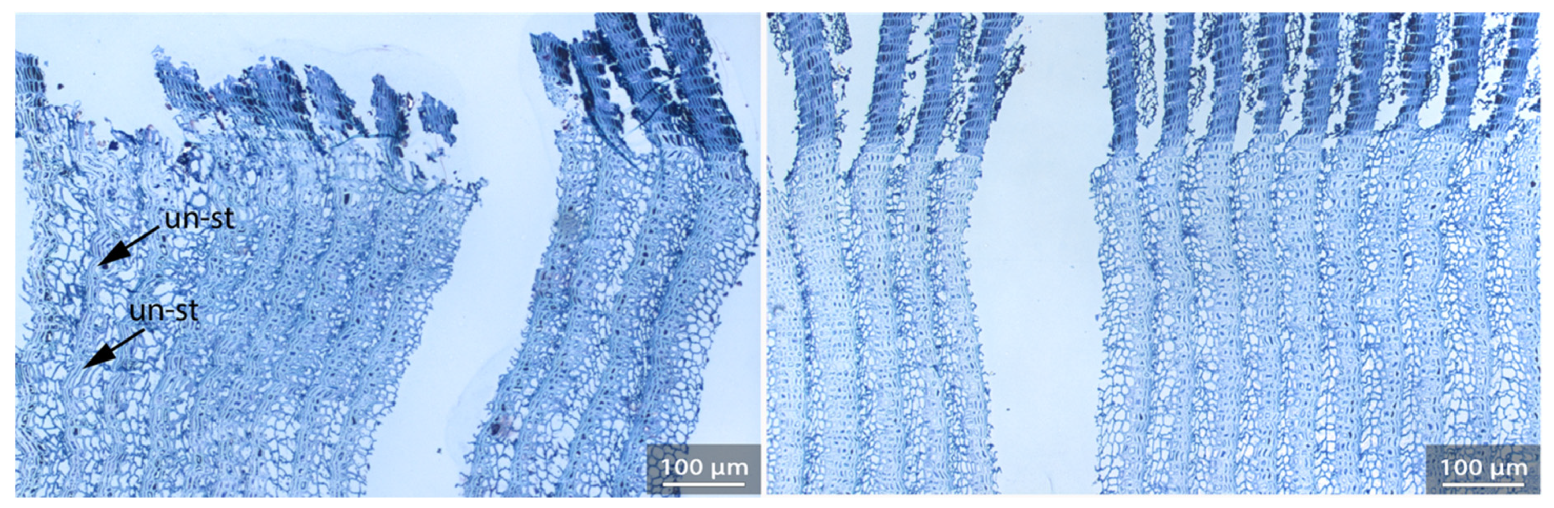 Applsci 11 08721 g020