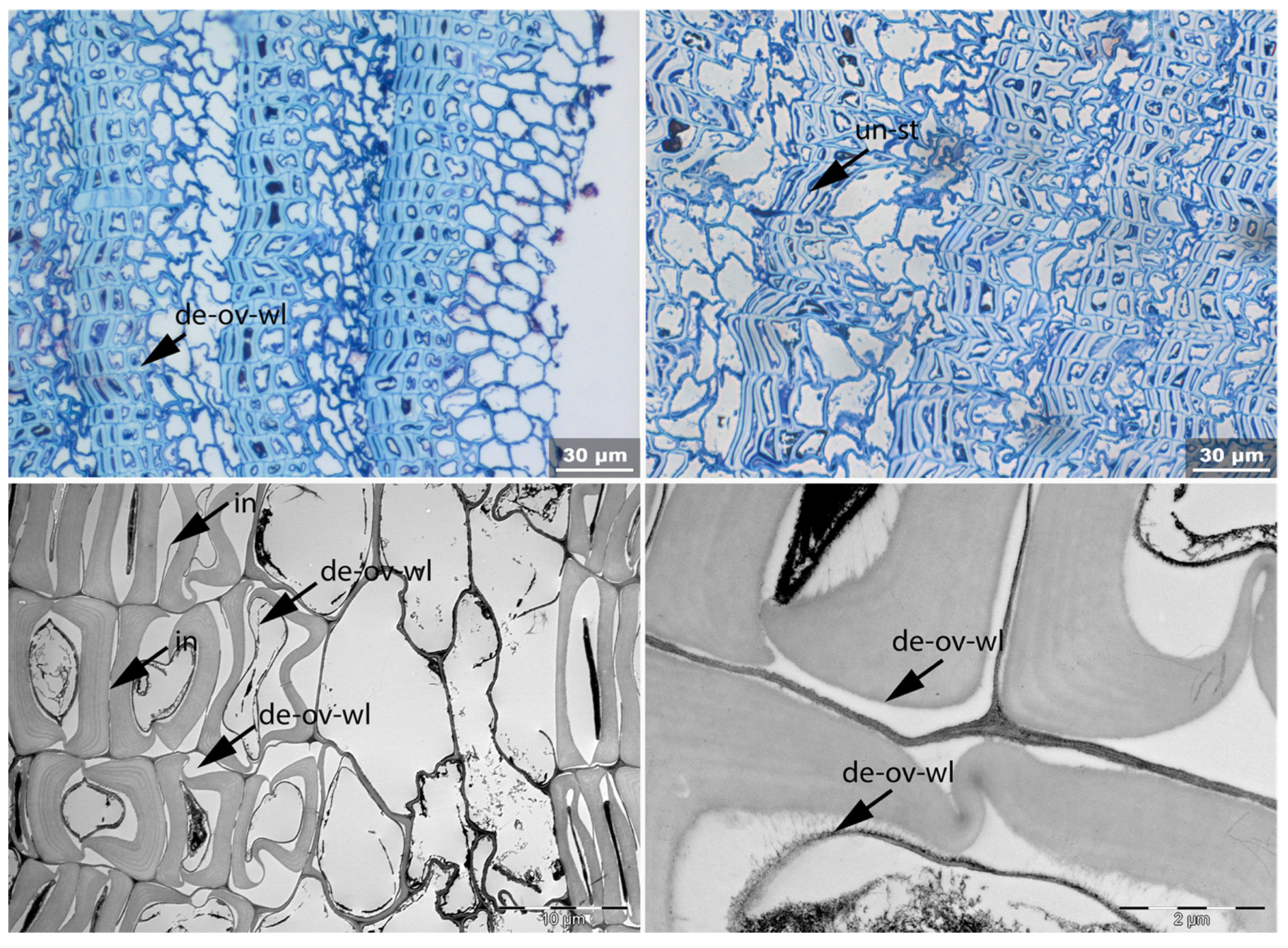 Applsci 11 08721 g021