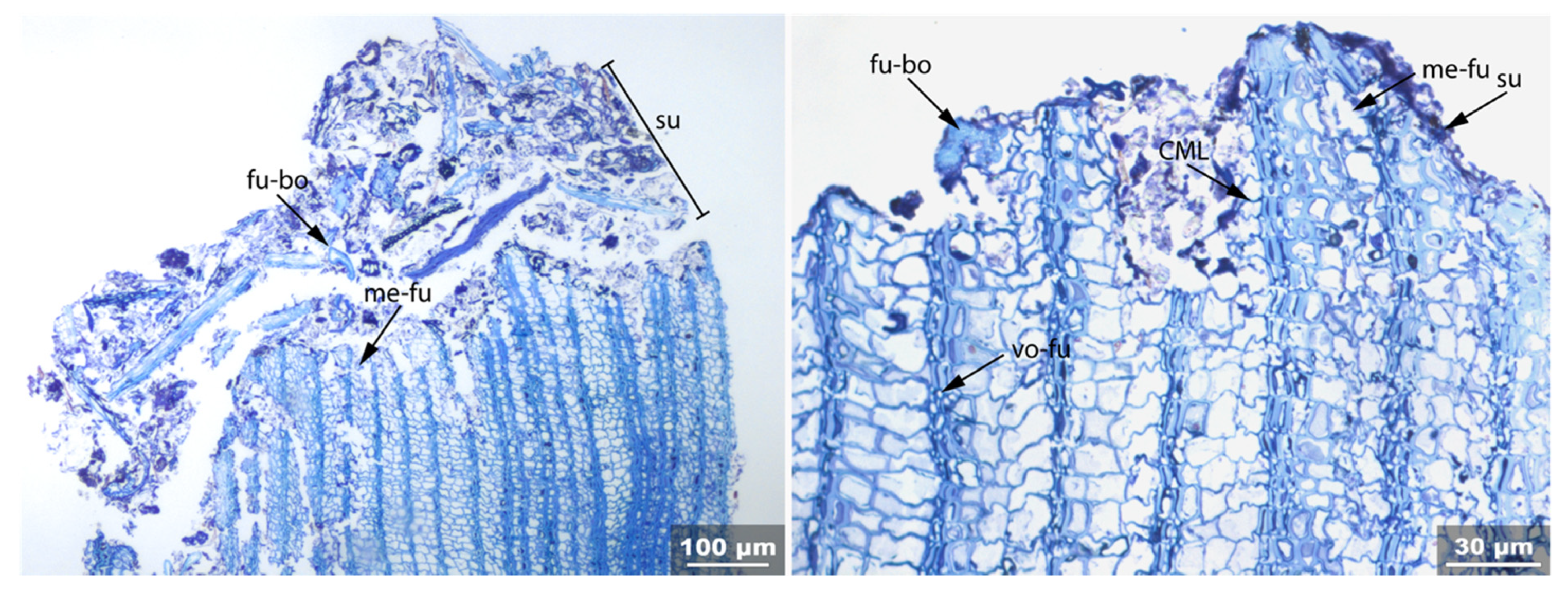 Applsci 11 08721 g022