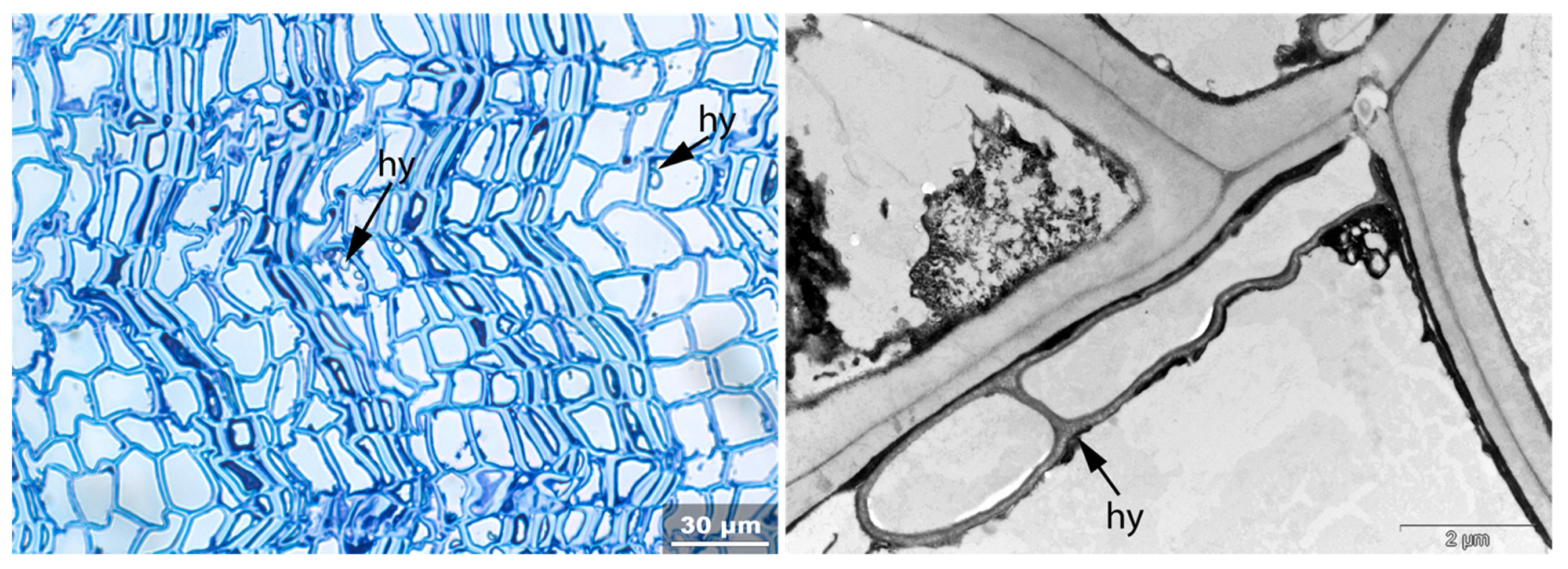 Applsci 11 08721 g024