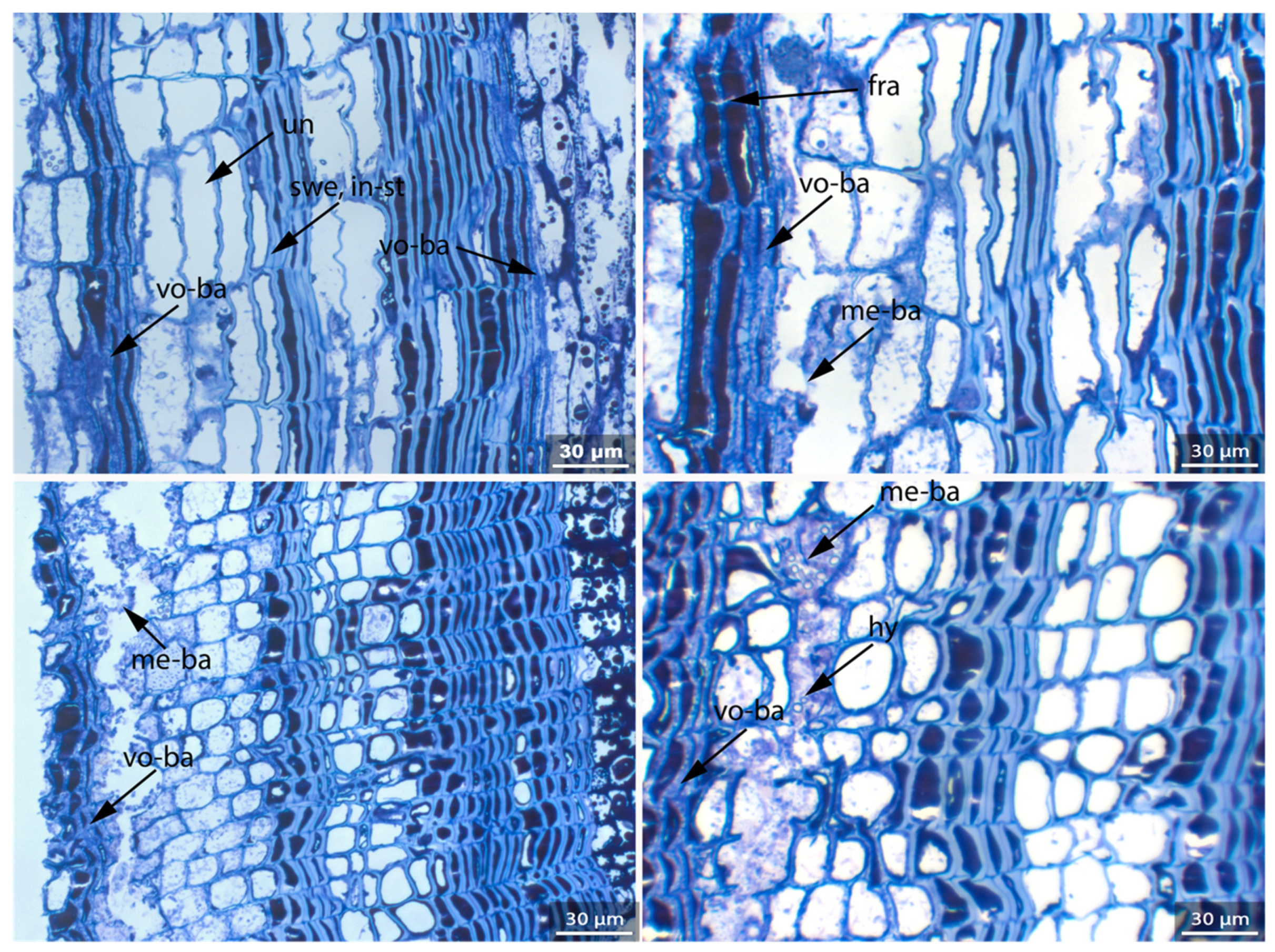 Applsci 11 08721 g025