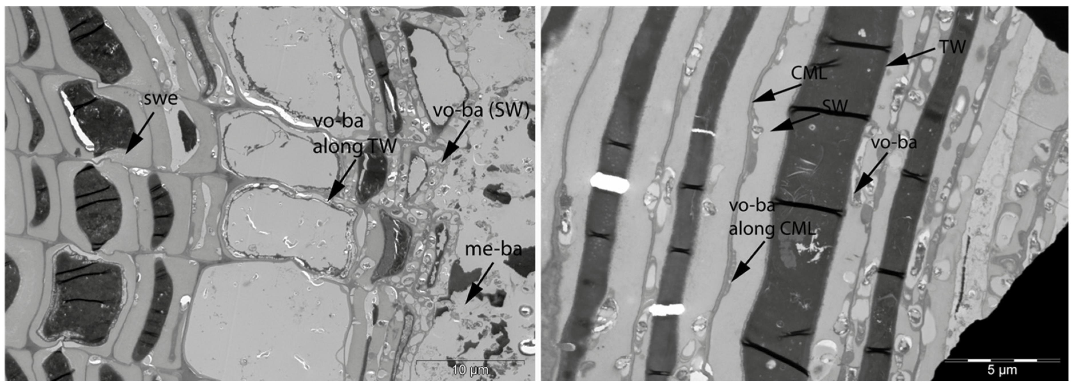 Applsci 11 08721 g026