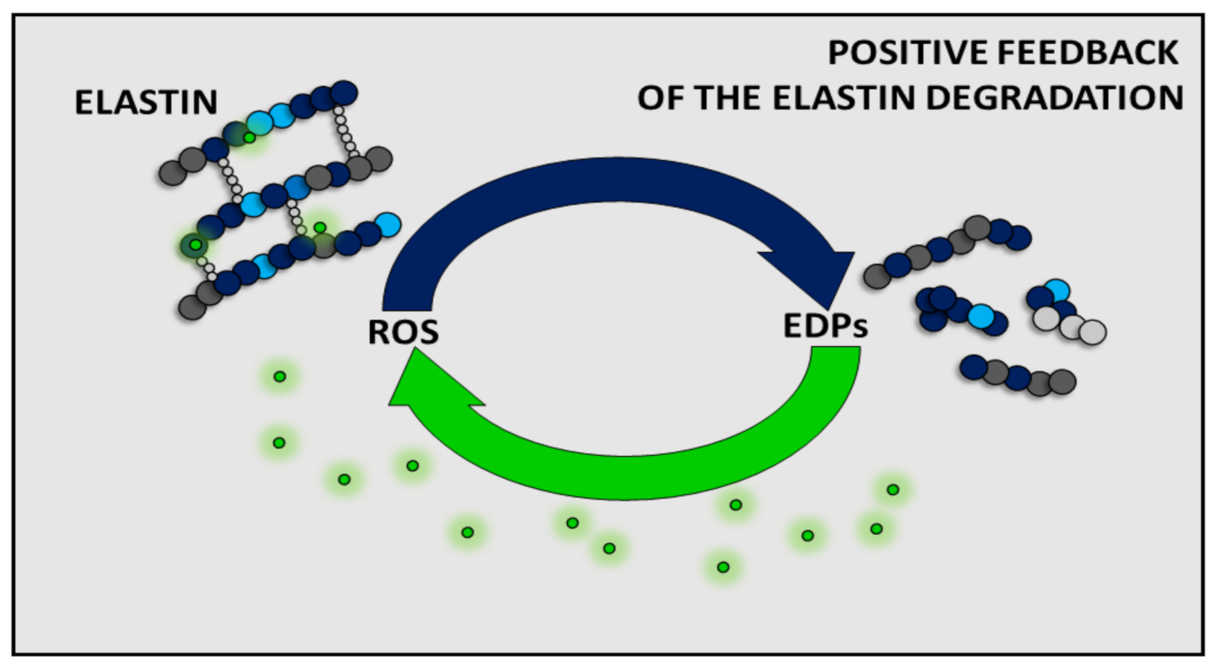 Applsci 11 08732 g003 Applsci 11 08732 g003
