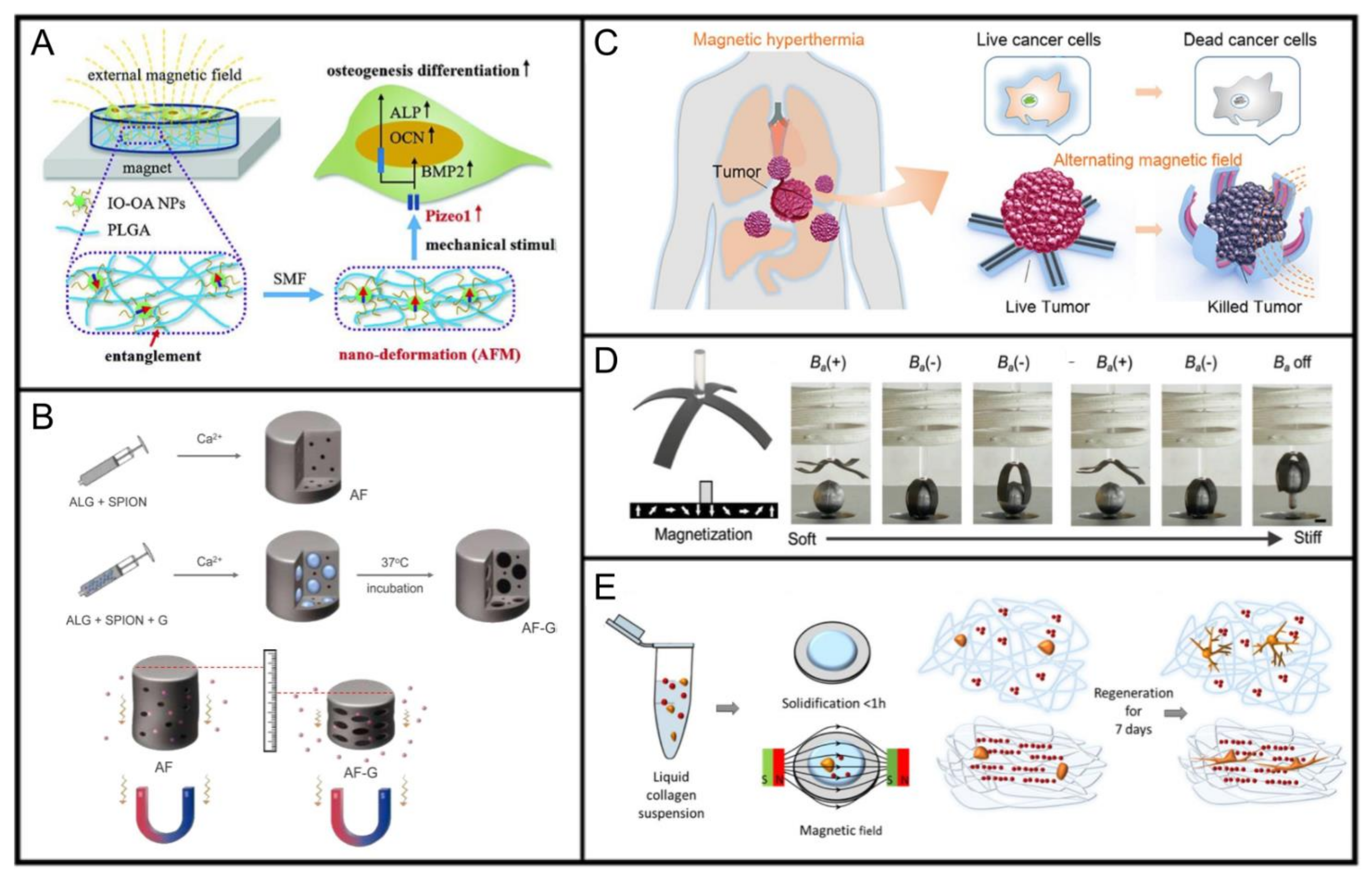 Applsci 11 08746 g005