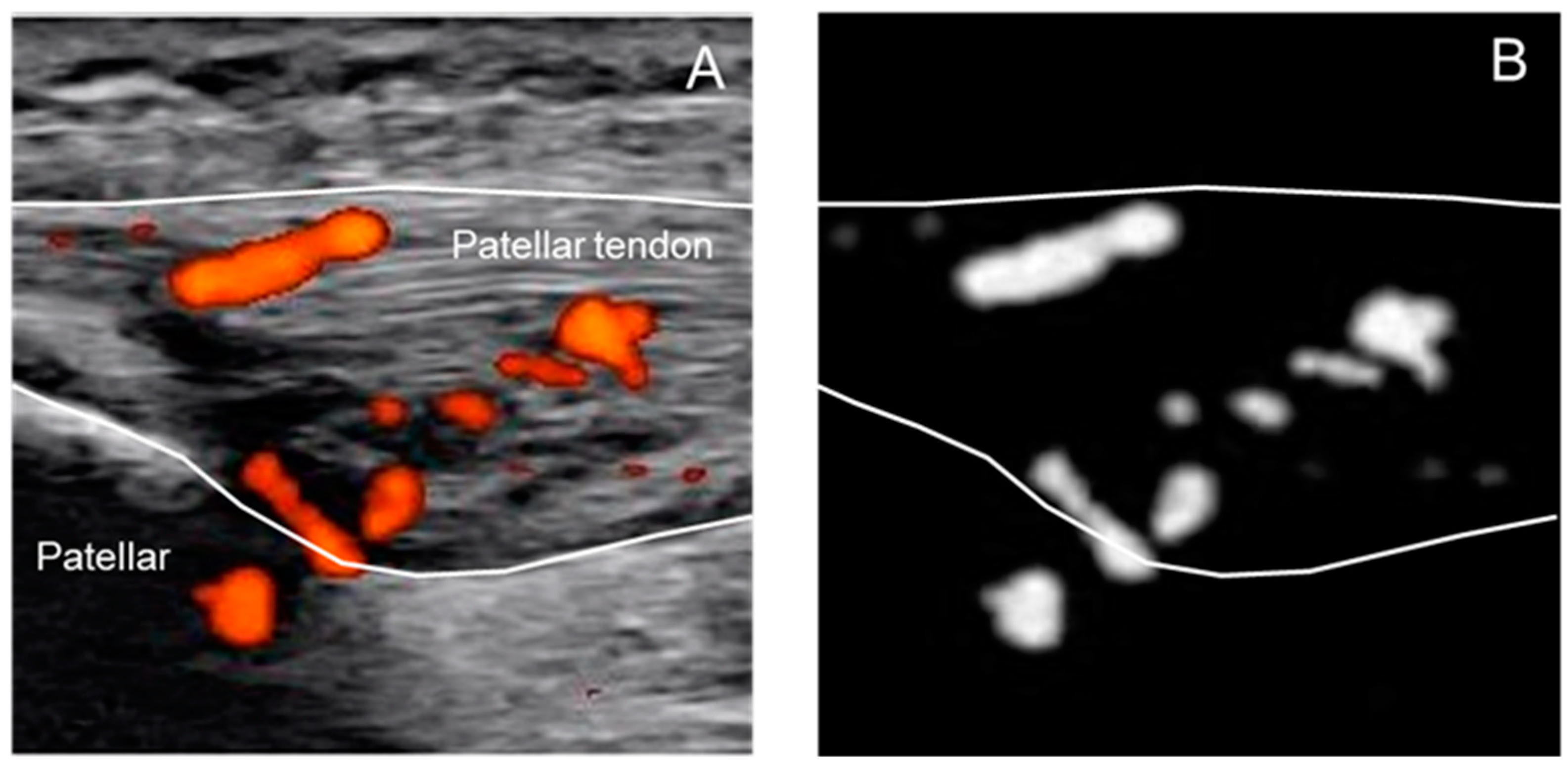 Applsci 11 08748 g002