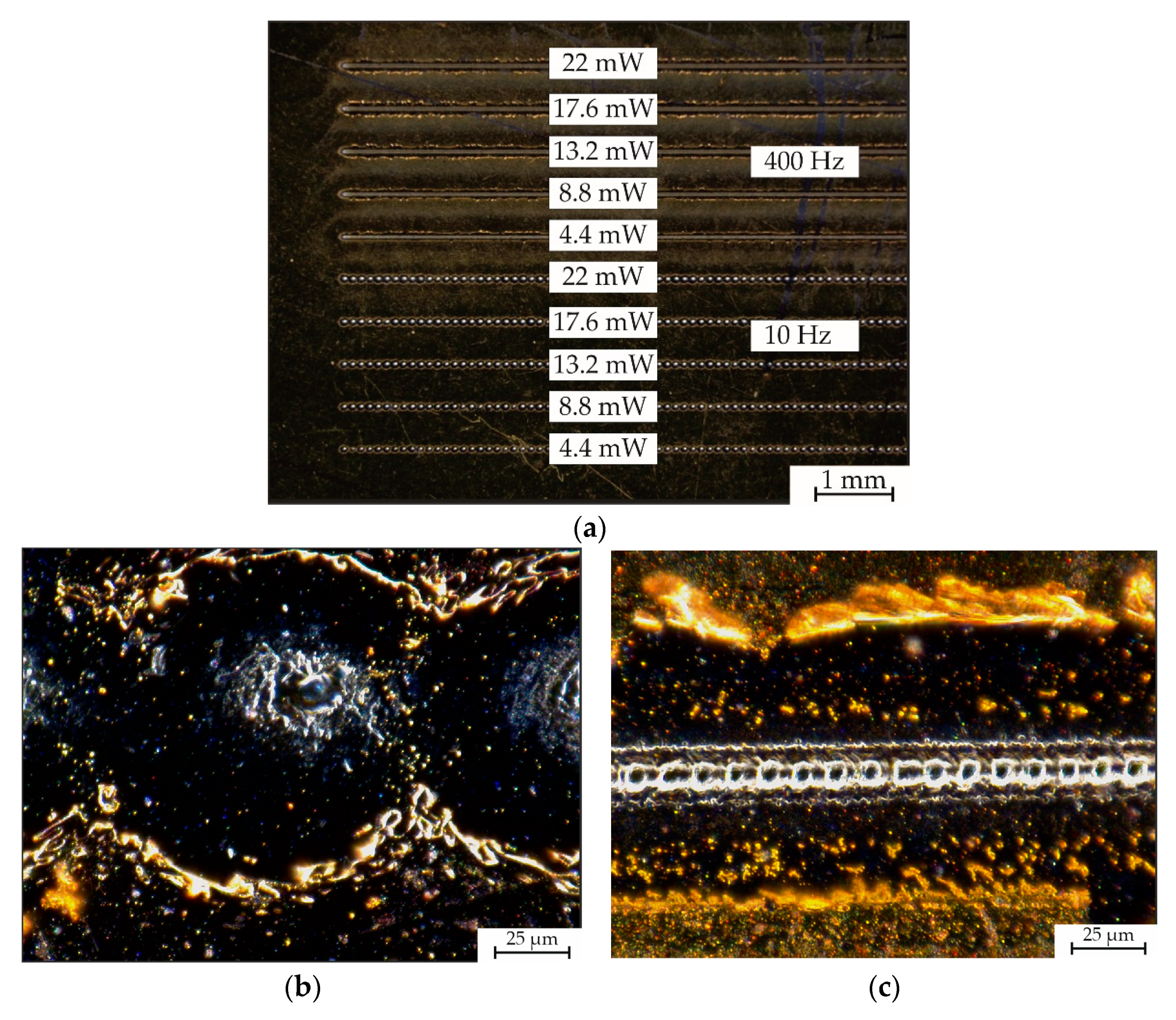 Applsci 11 08755 g004