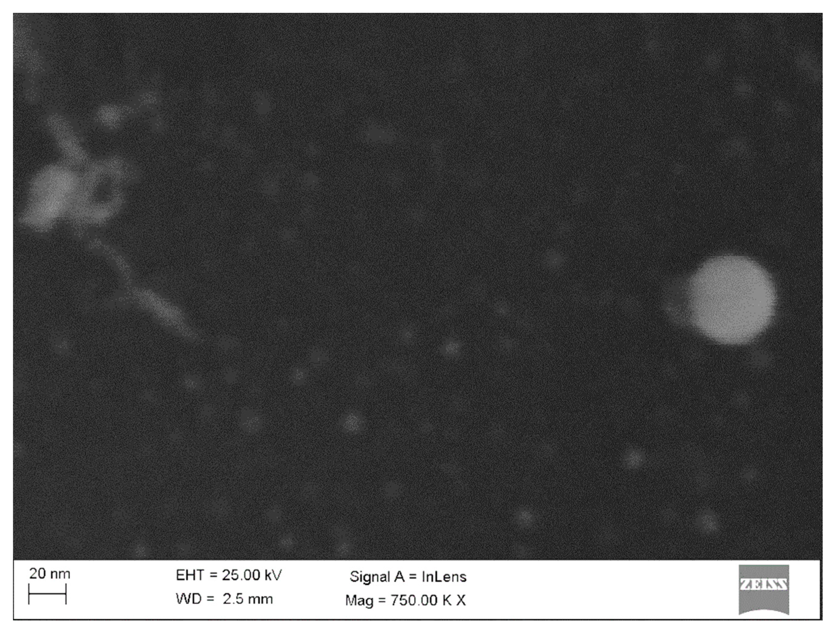 Applsci 11 08755 g012