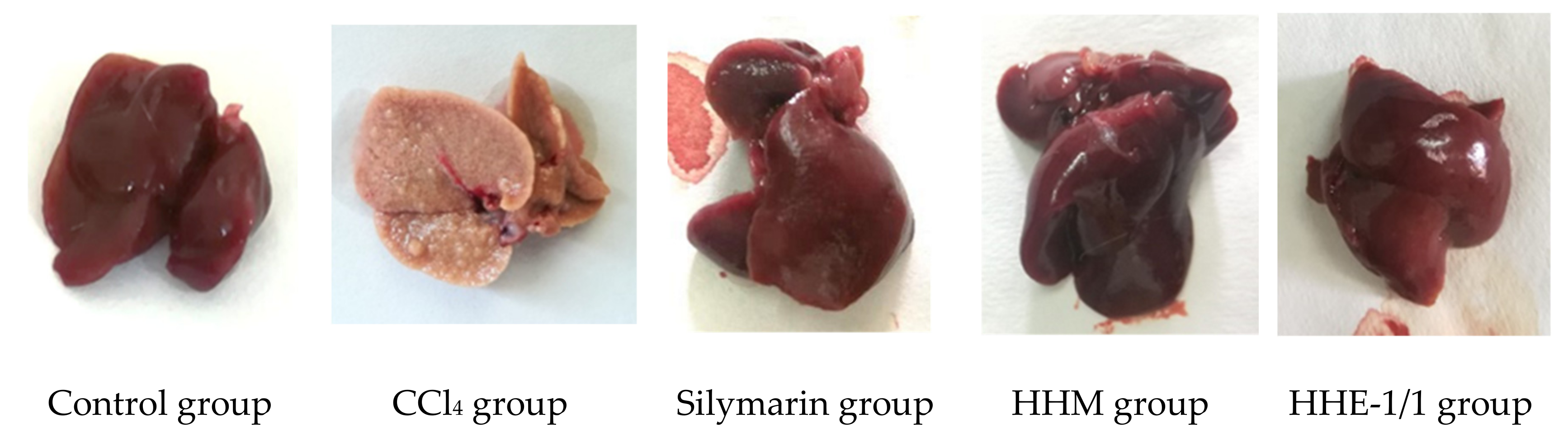 Applsci 11 08758 g001