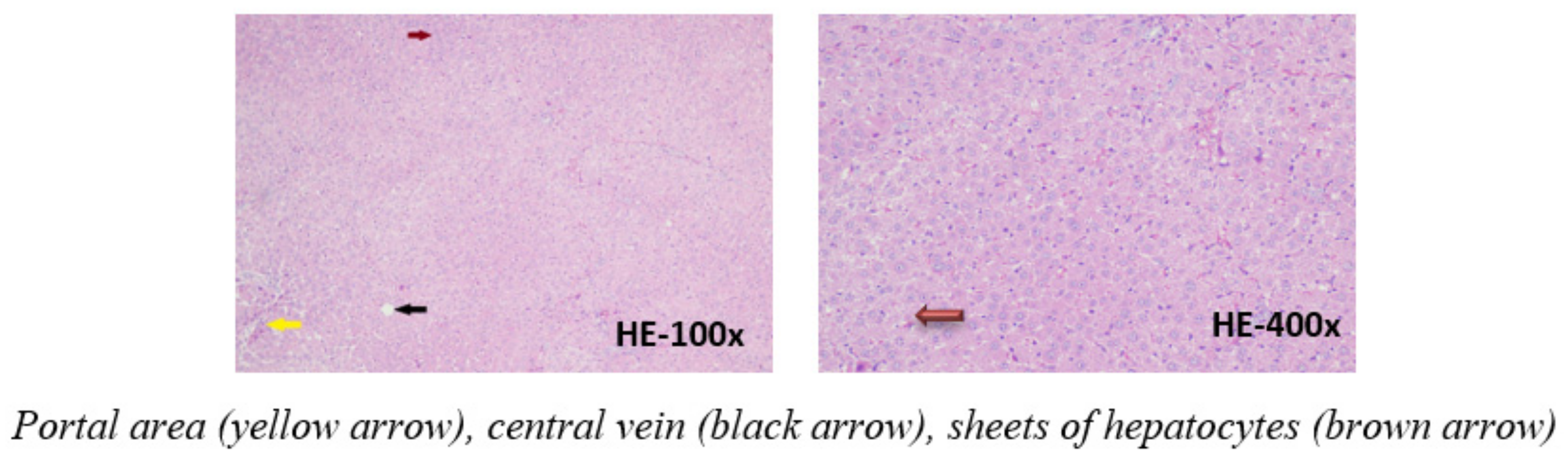 Applsci 11 08758 g002