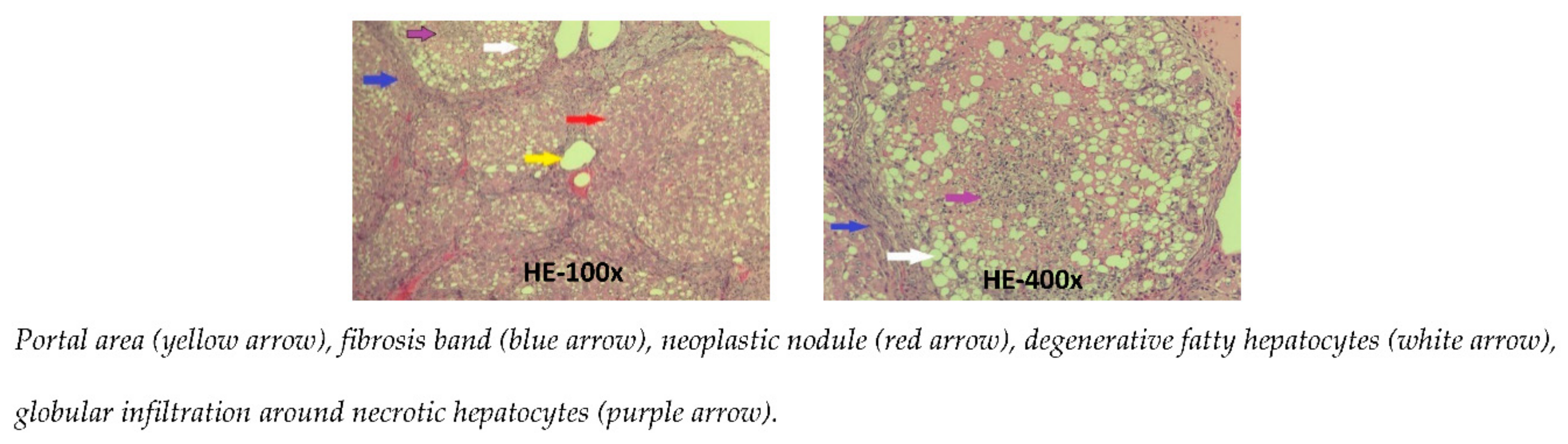 Applsci 11 08758 g003