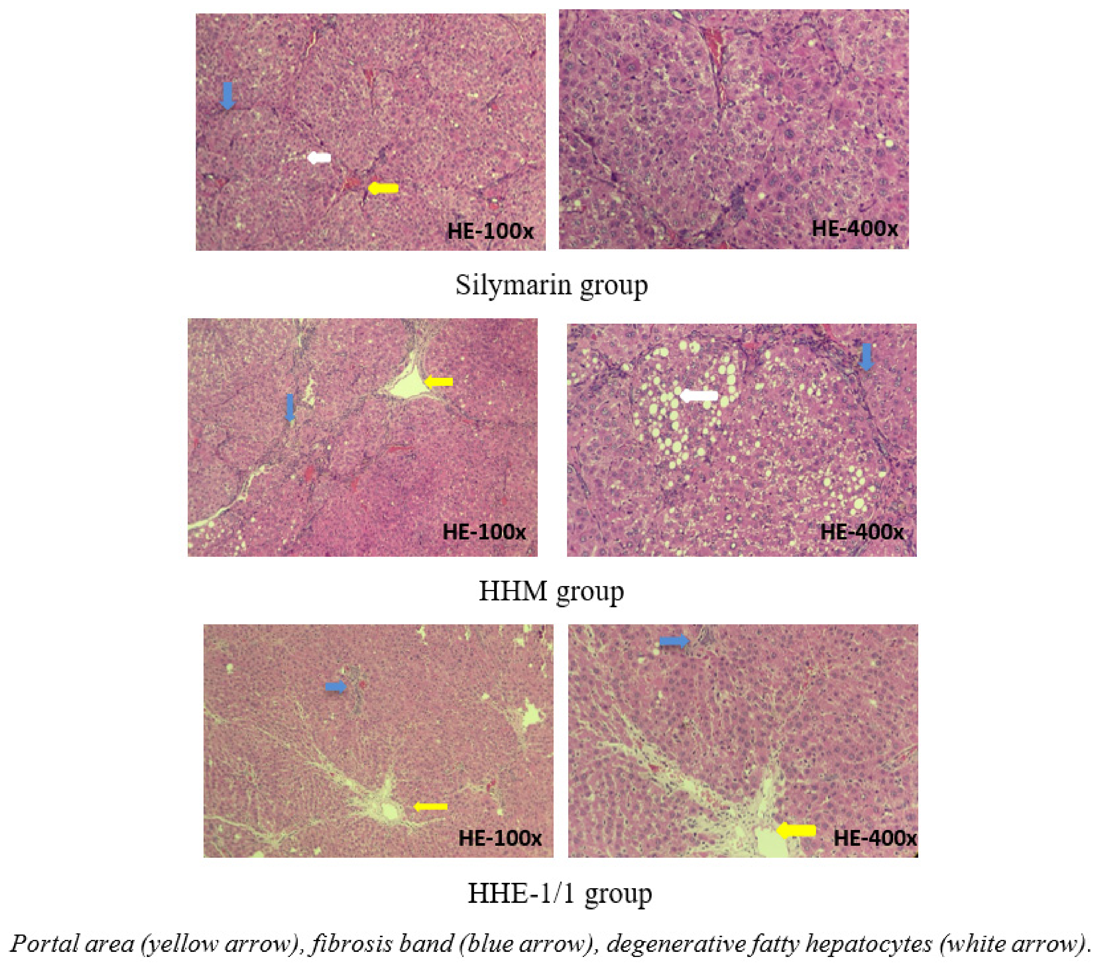 Applsci 11 08758 g004