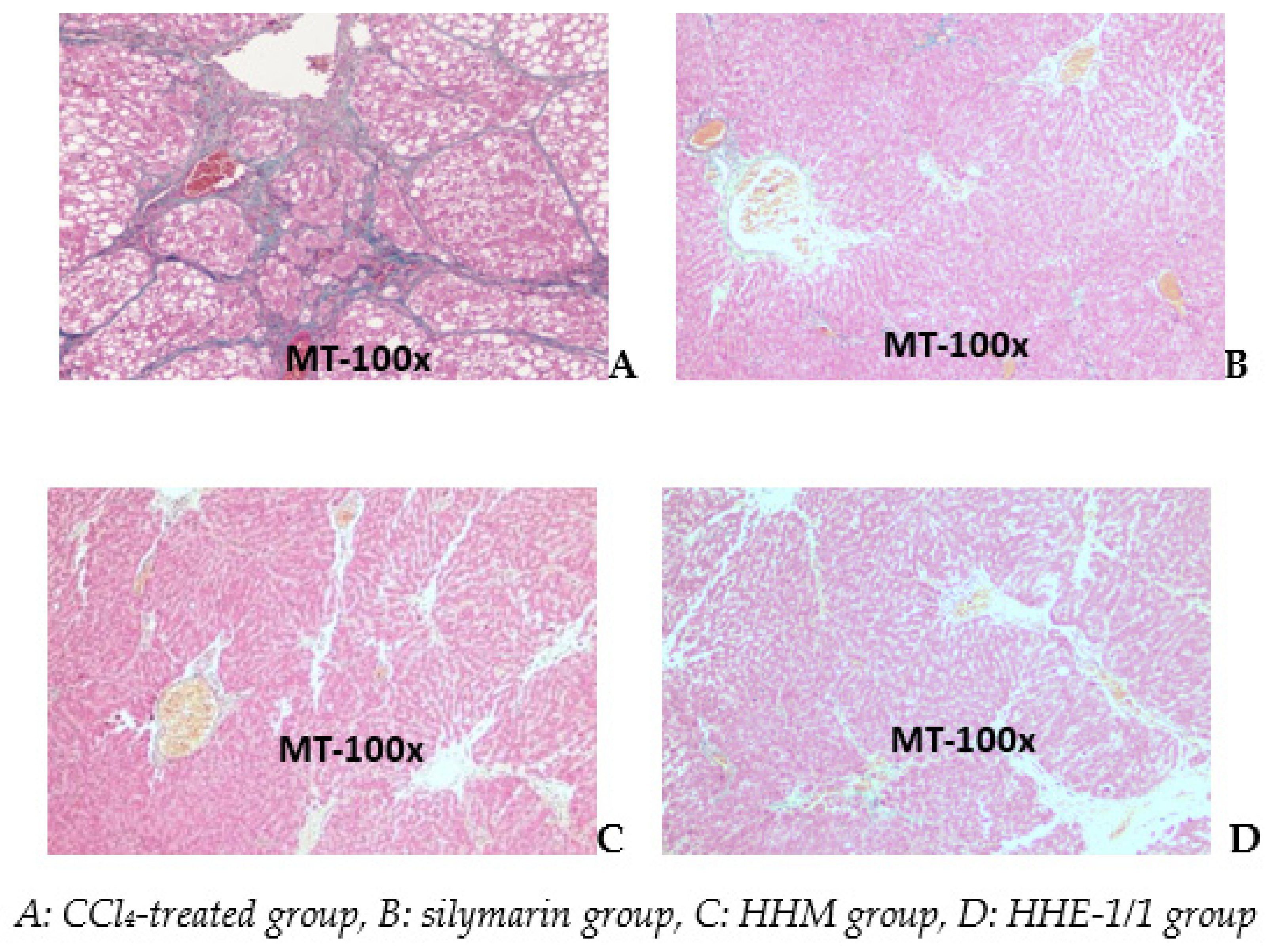 Applsci 11 08758 g005