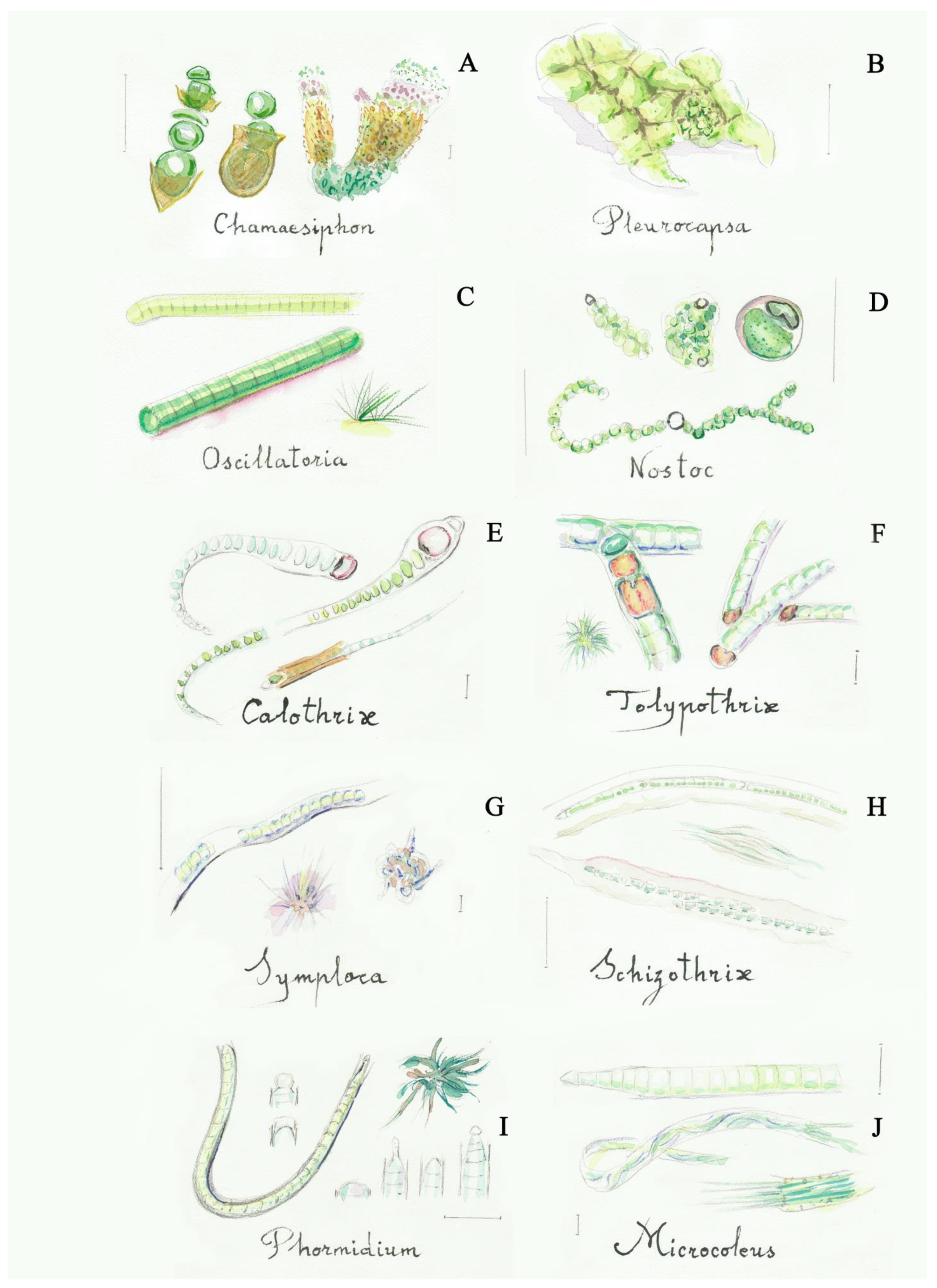 Applsci 11 08787 g002