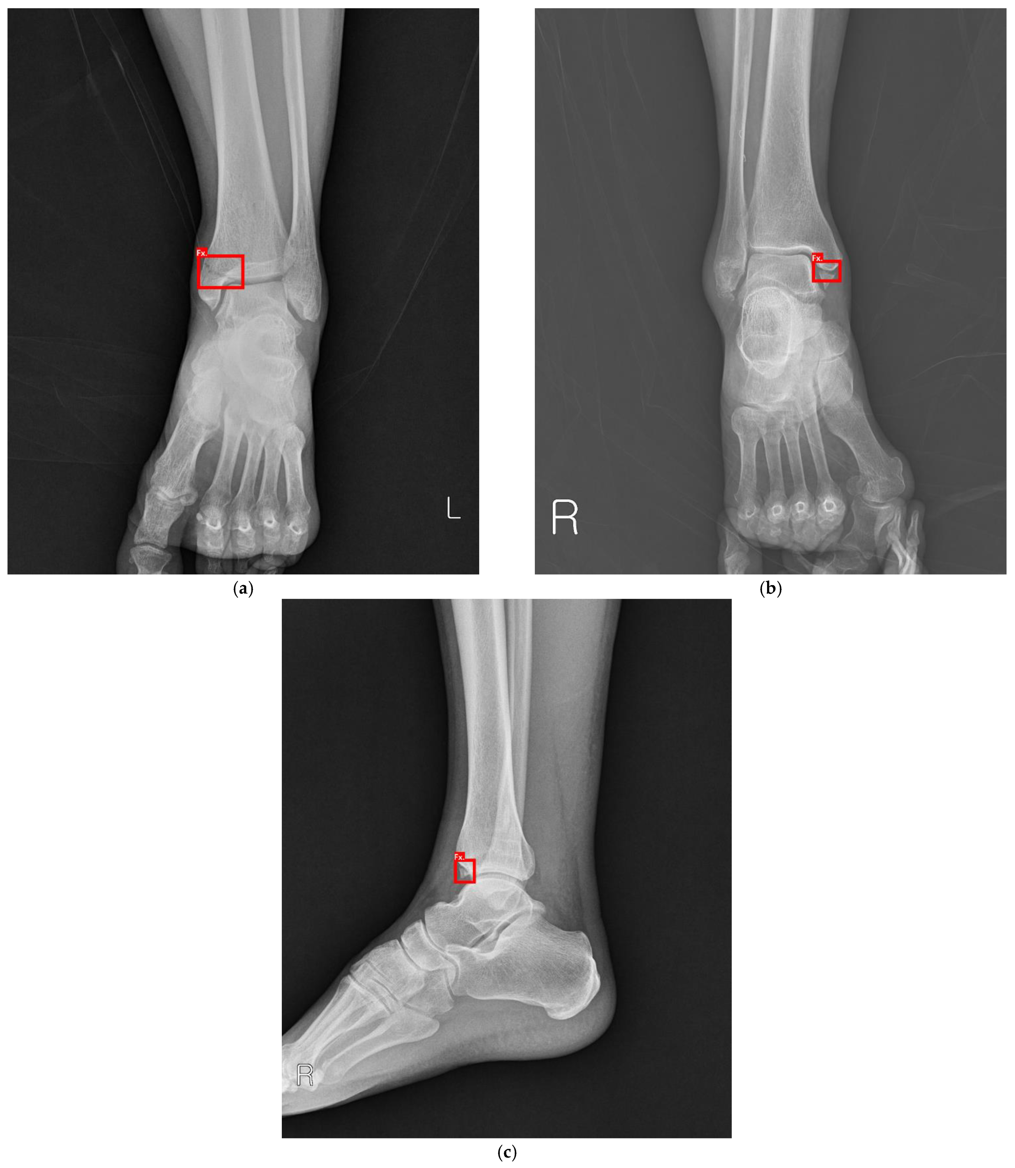 Applsci 11 08791 g002