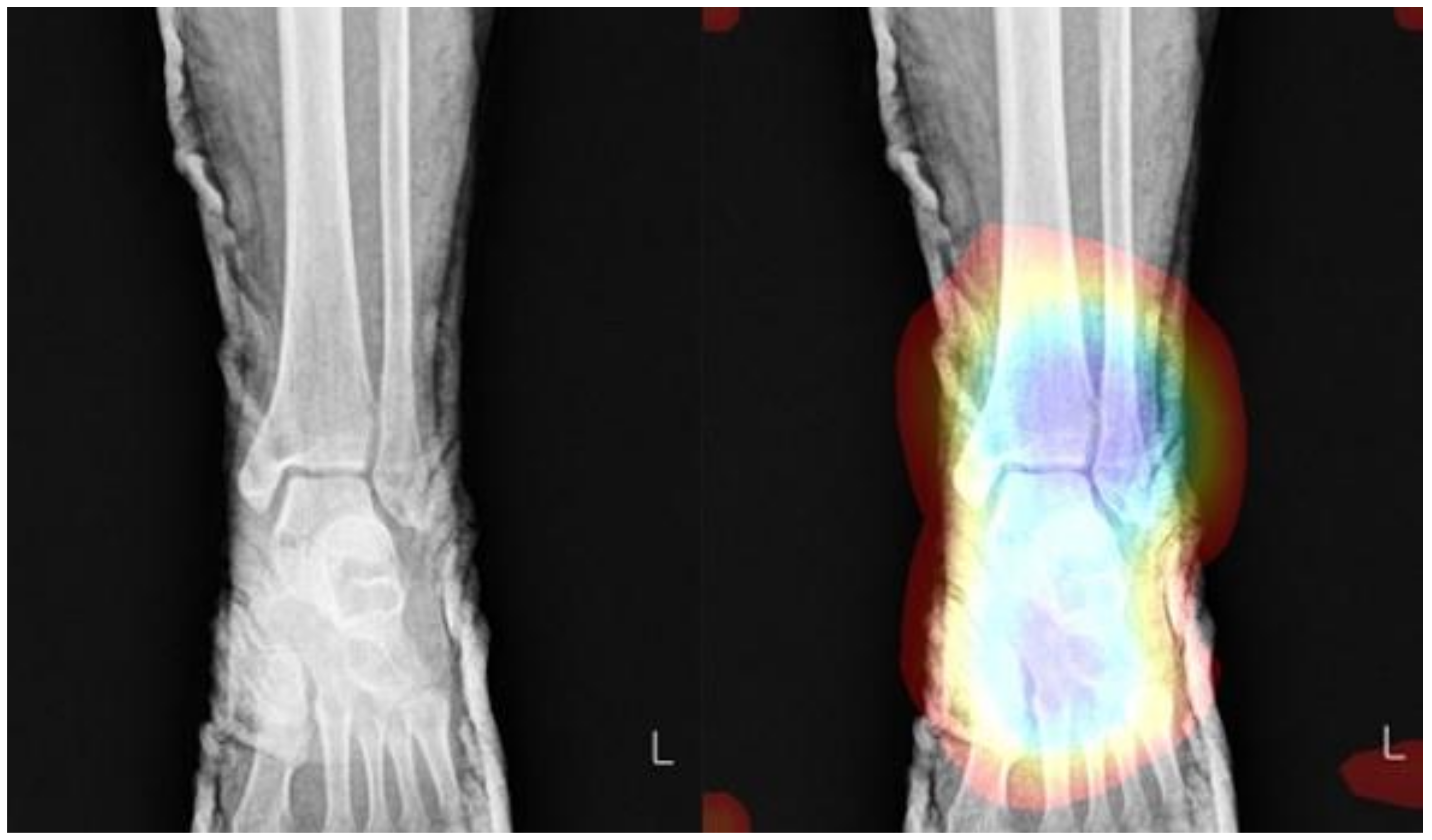 Applsci 11 08791 g008