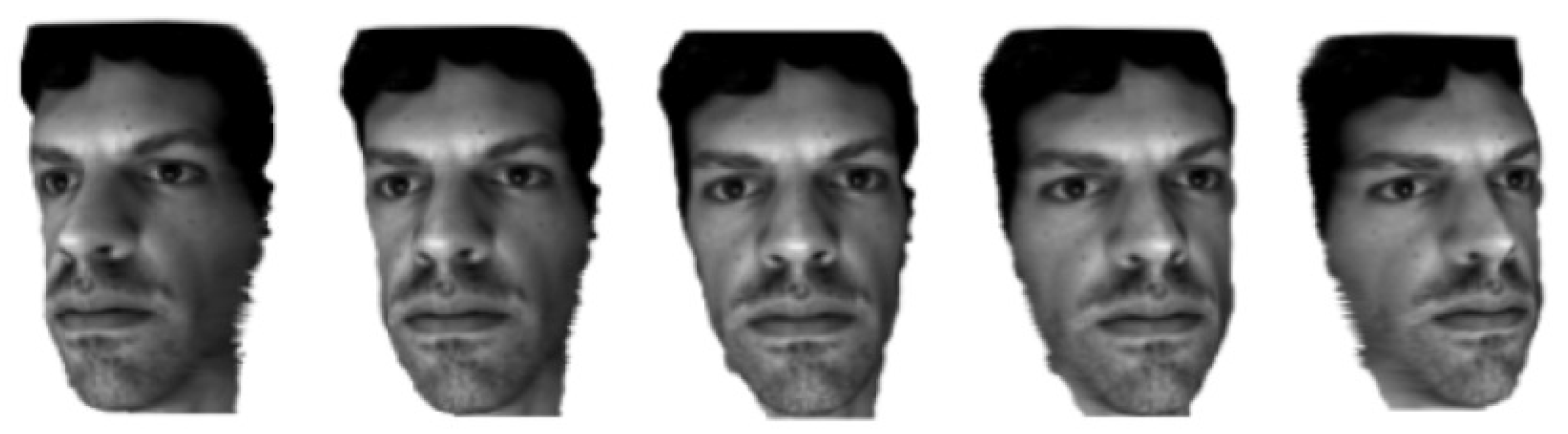 Applsci 11 08821 g019