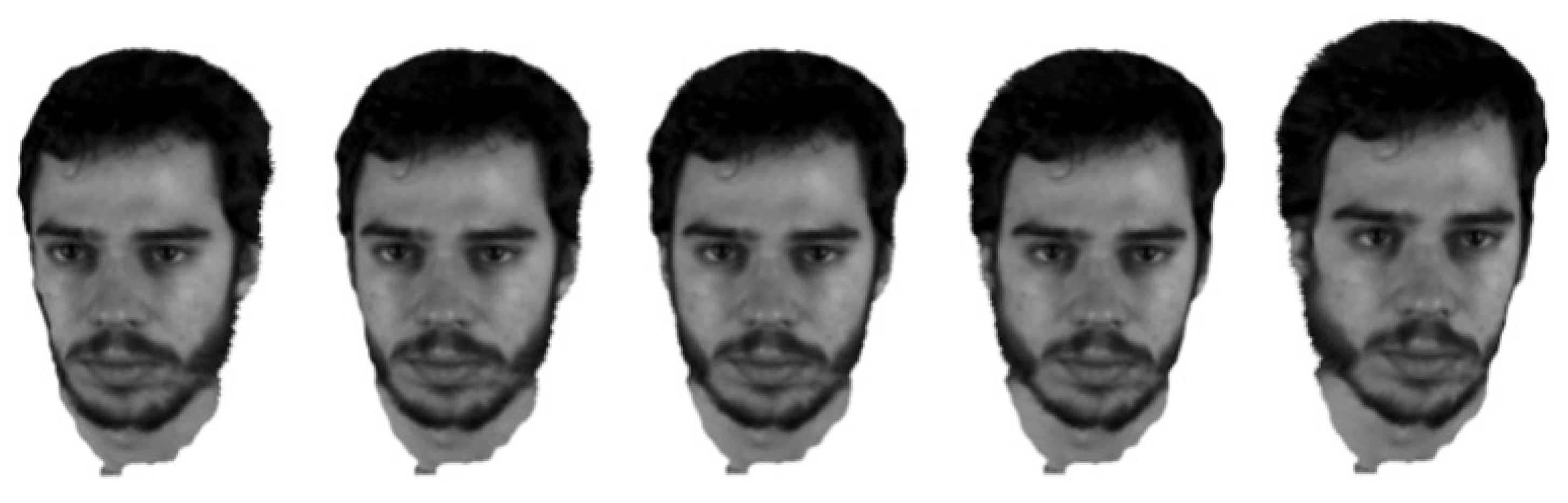 Applsci 11 08821 g021