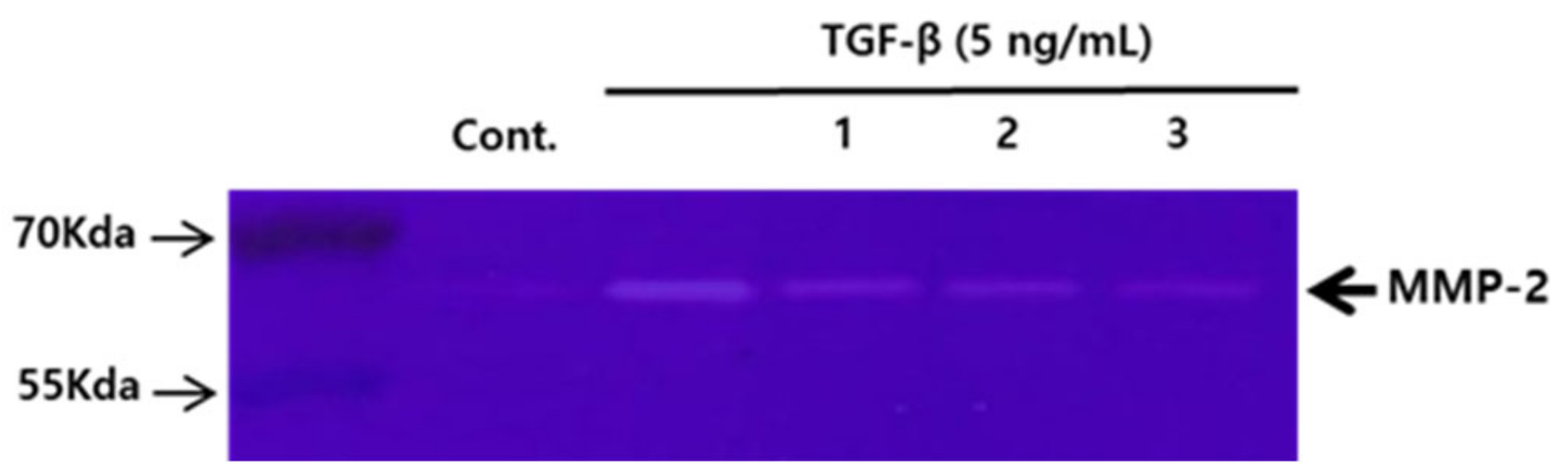 Applsci 11 08866 g004