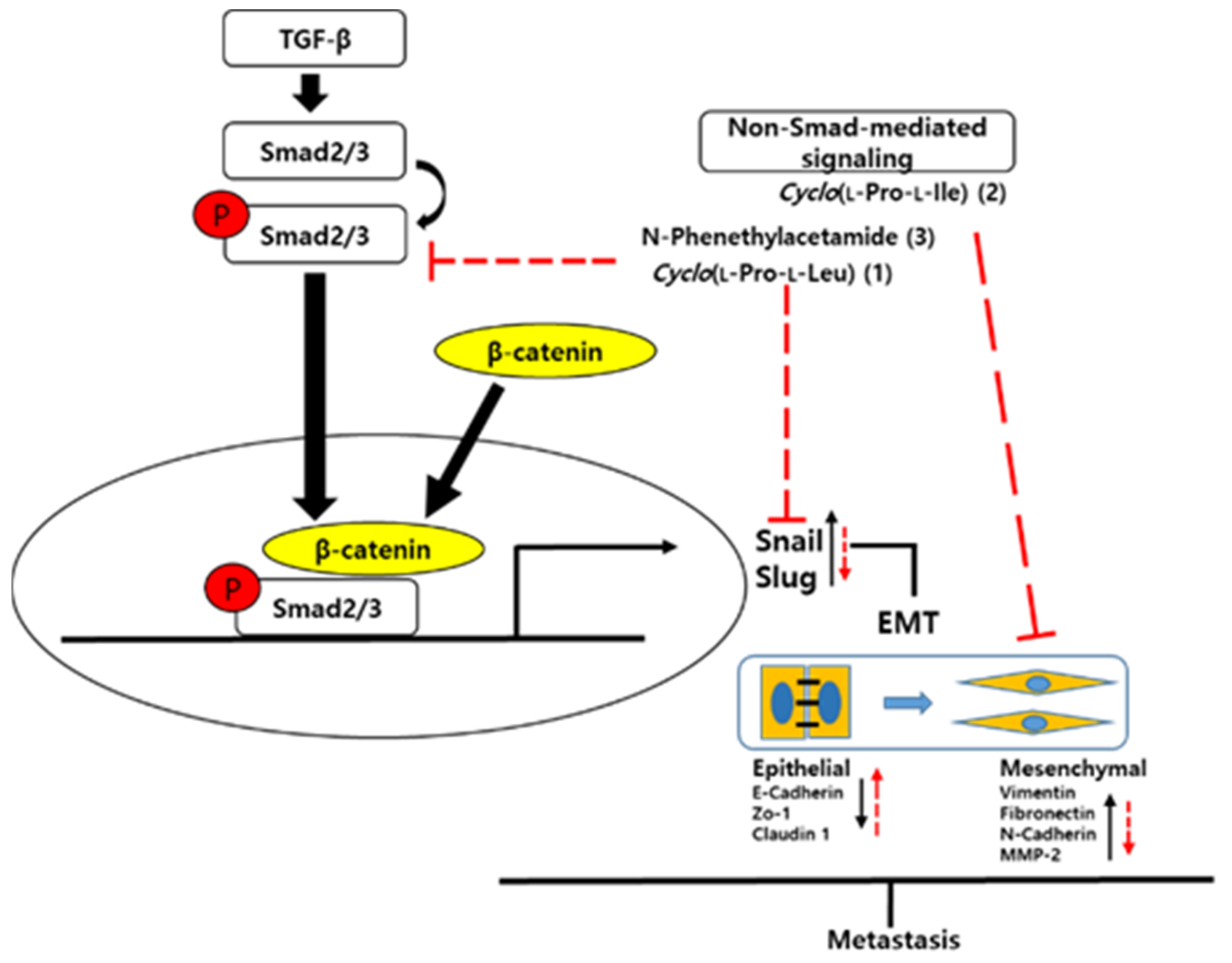 Applsci 11 08866 g005