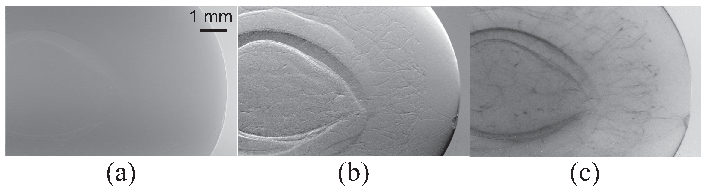 Applsci 11 08868 g003