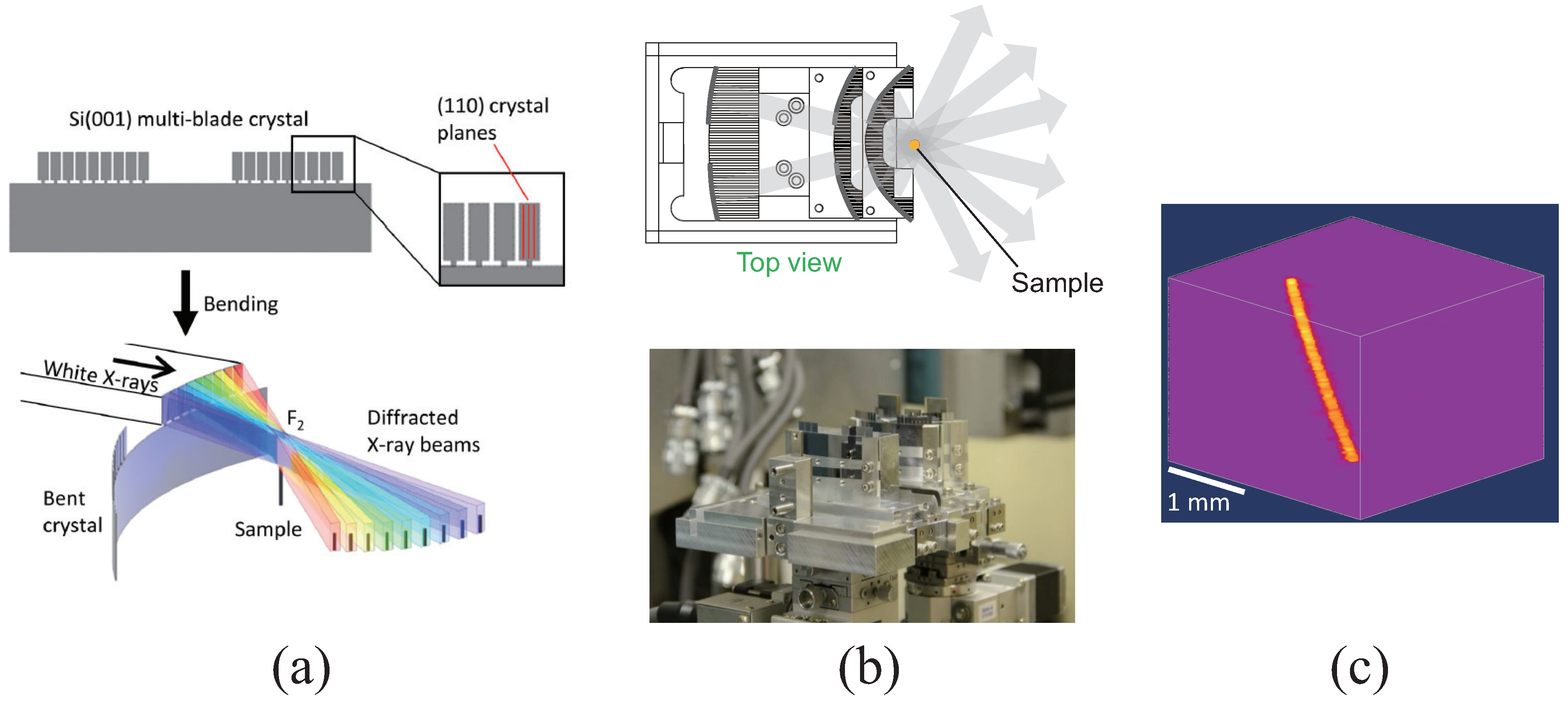 Applsci 11 08868 g010