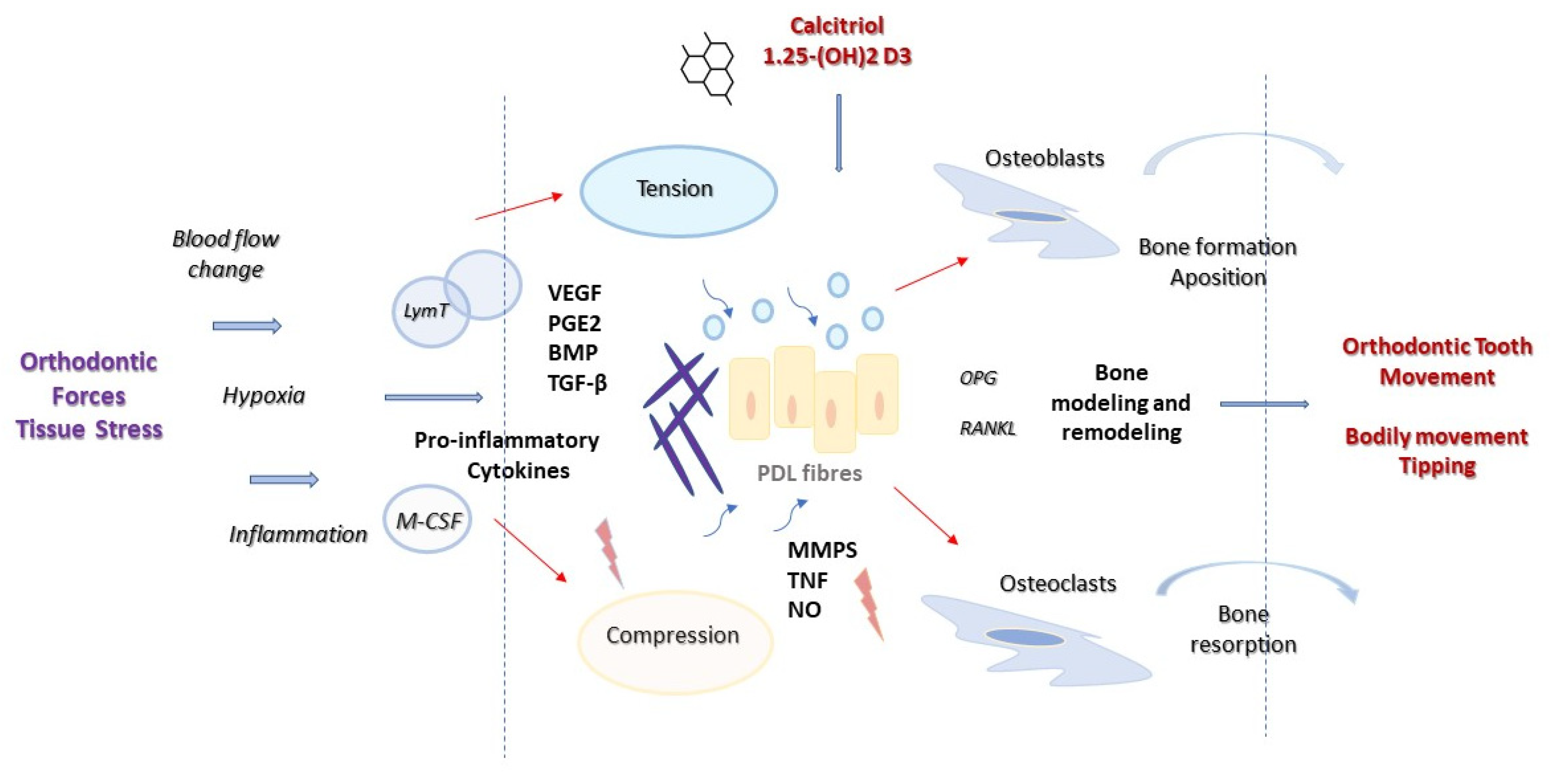 Applsci 11 08882 g001