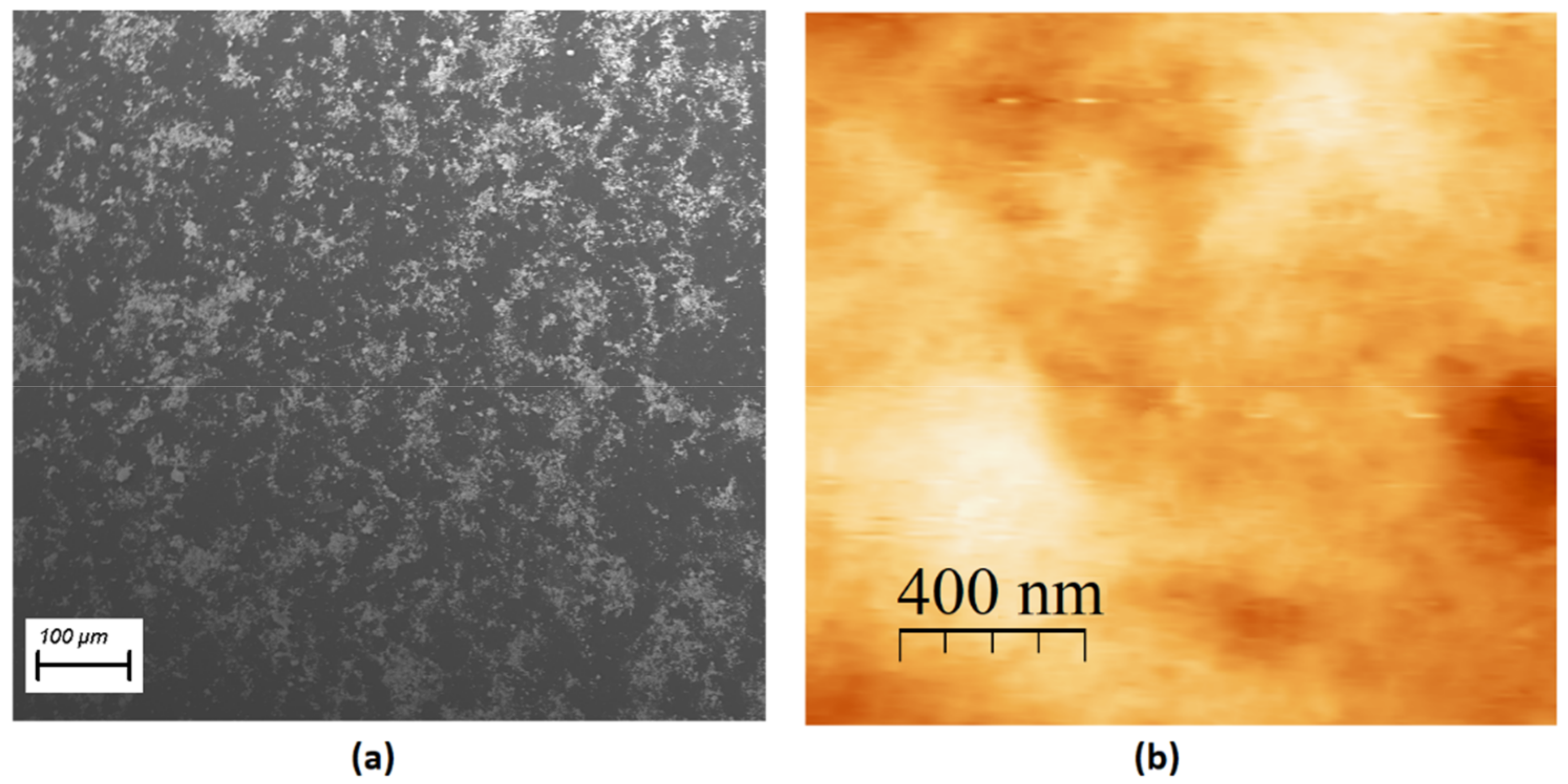 Applsci 11 08904 g005