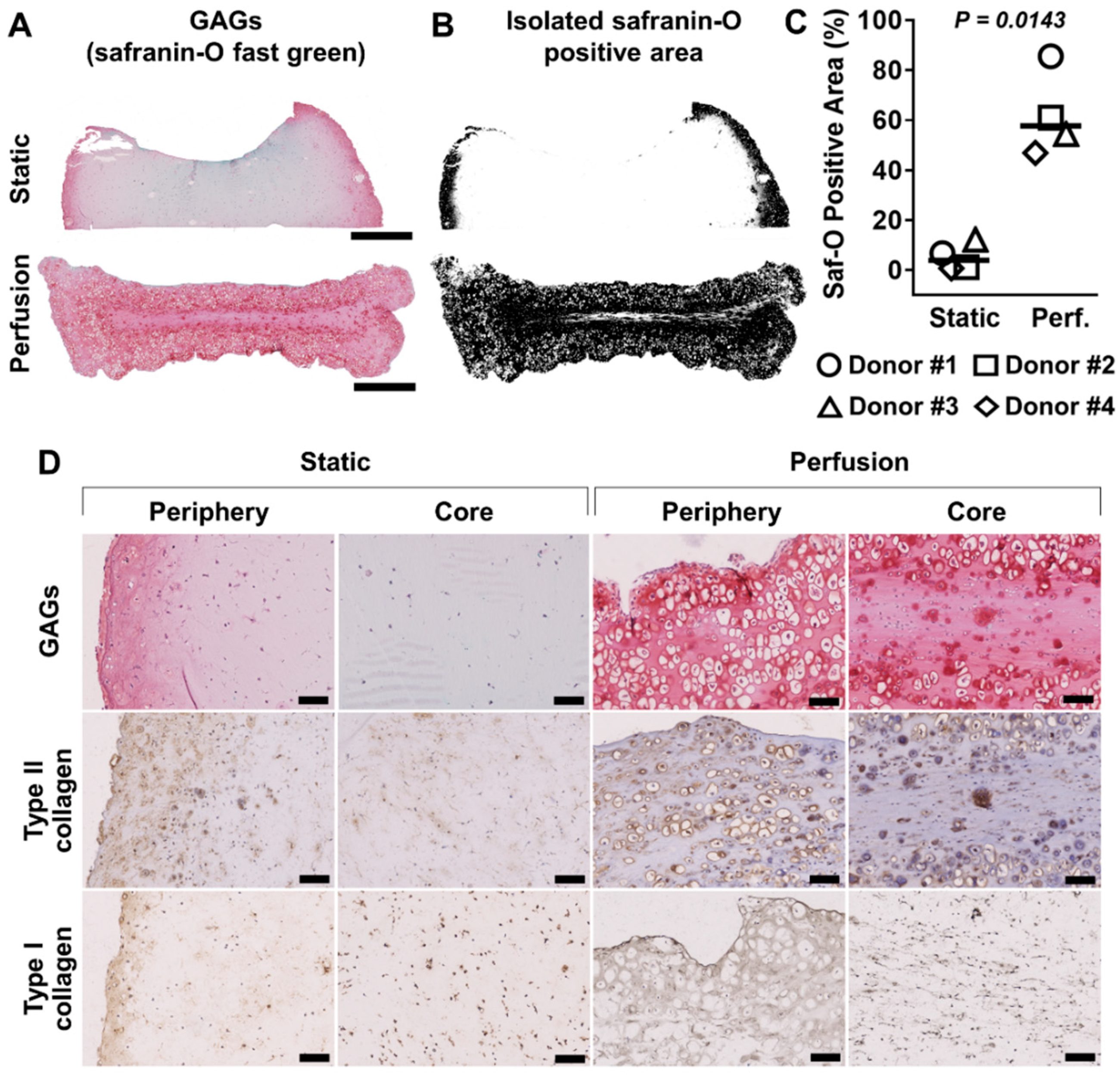 Applsci 11 08923 g002