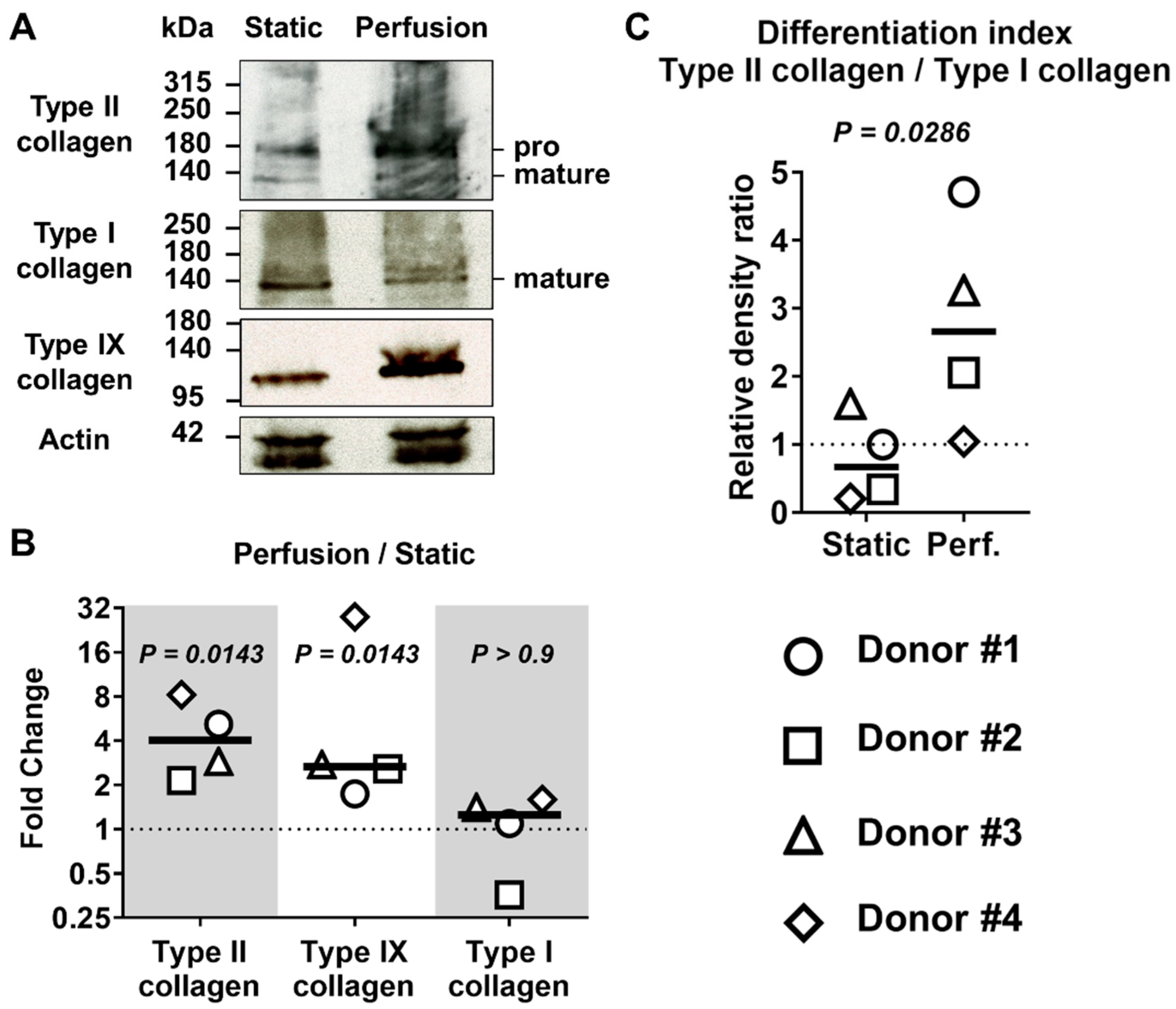 Applsci 11 08923 g003