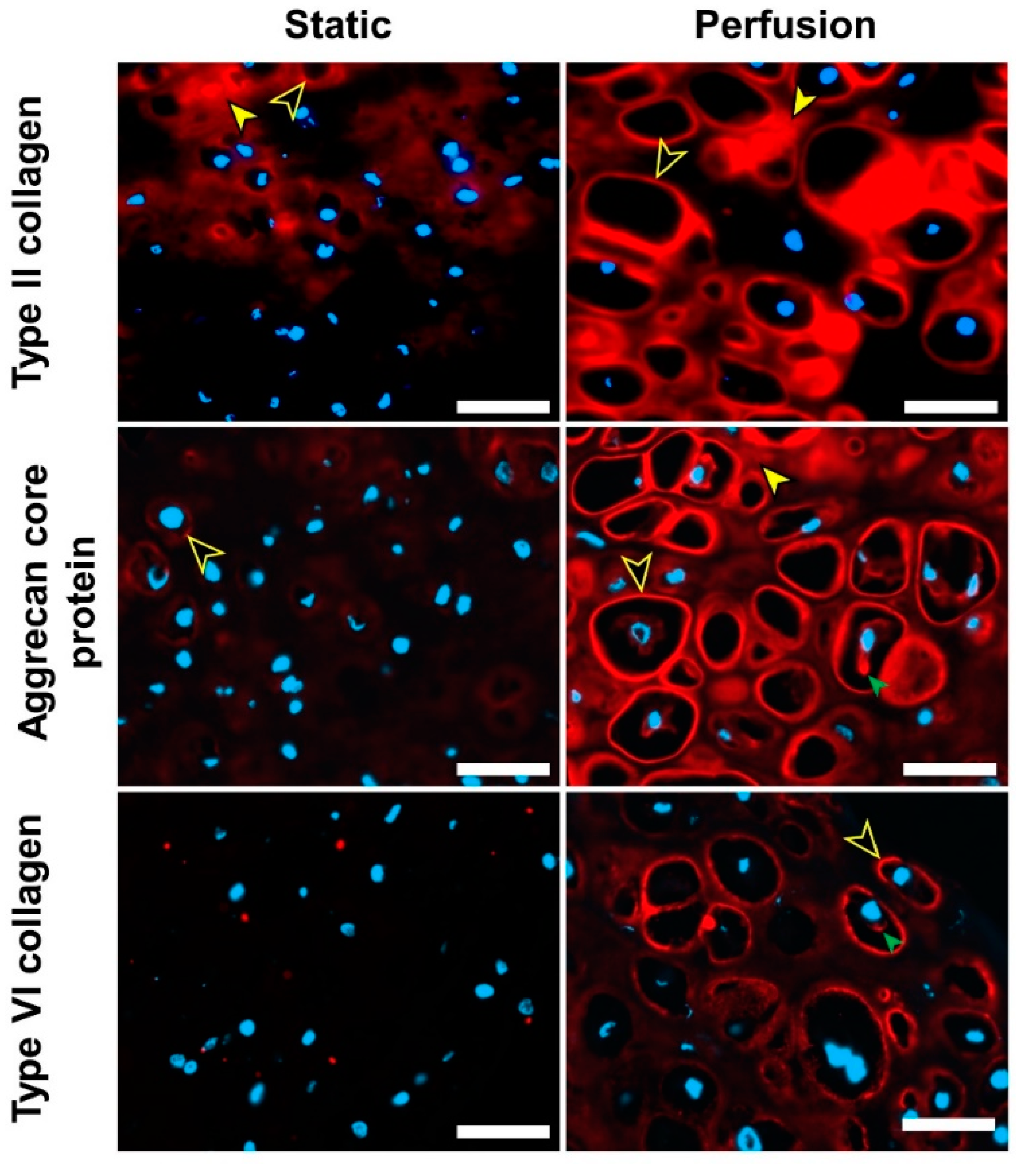 Applsci 11 08923 g004